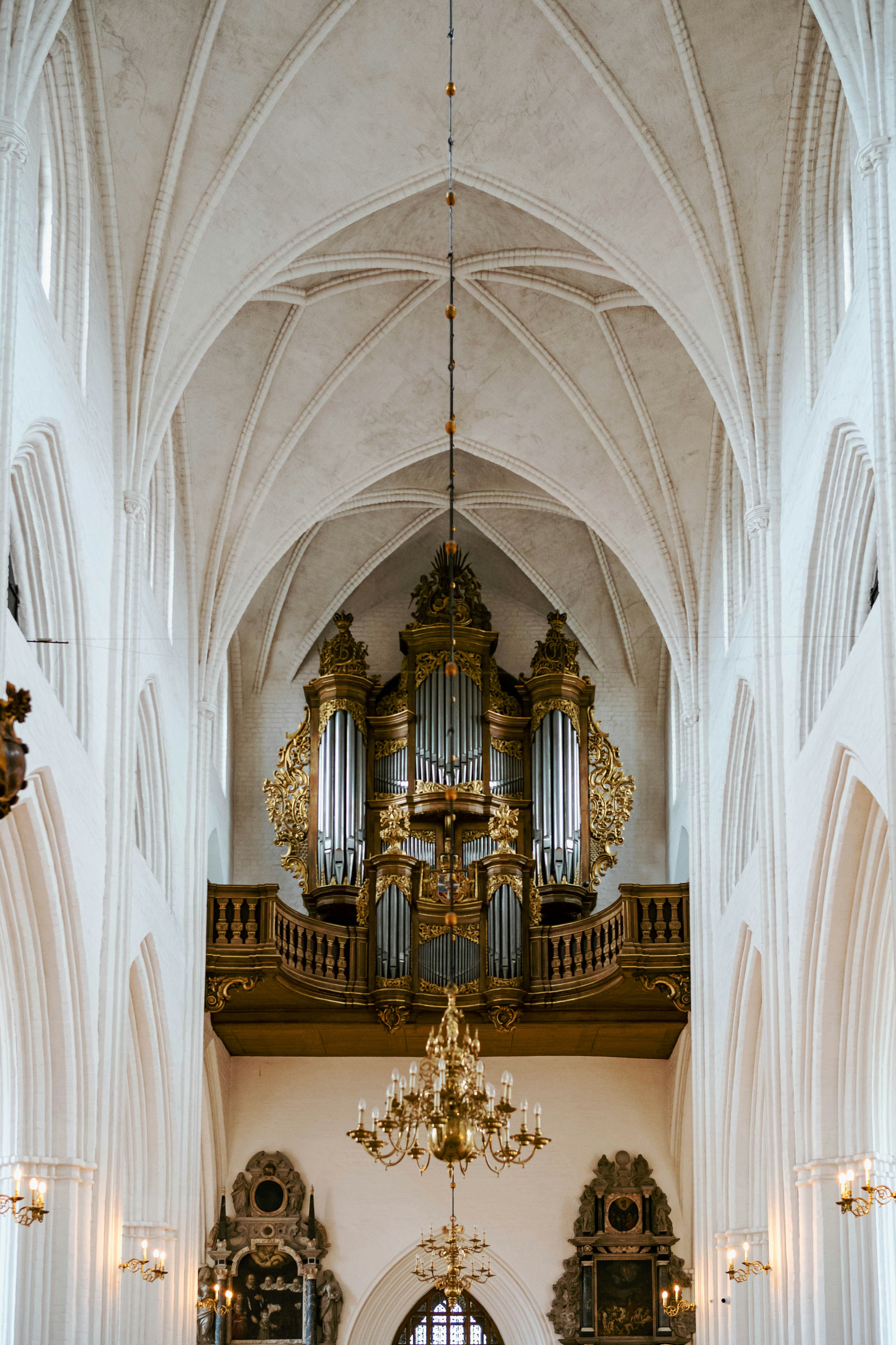 Photo by tommaomaoer