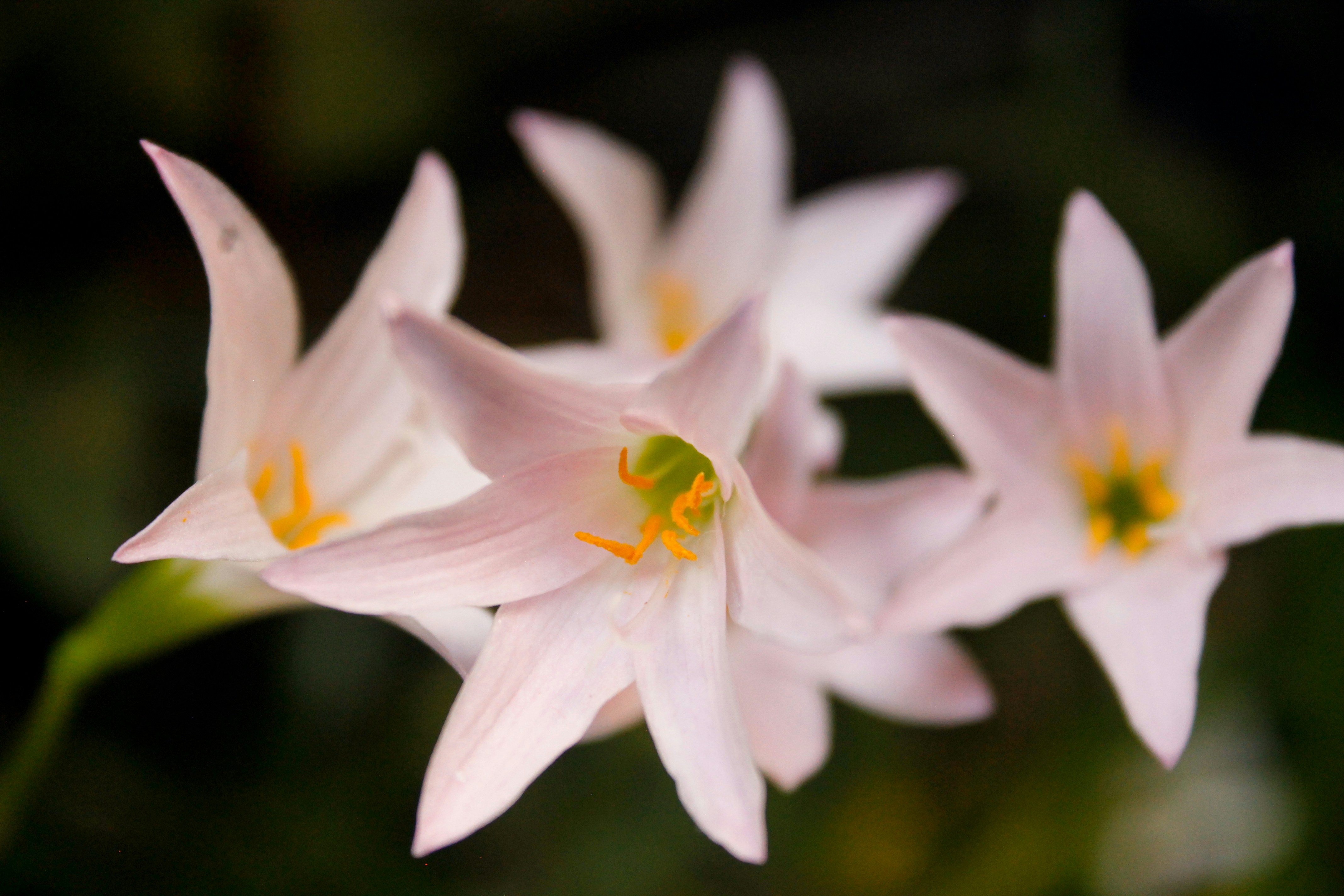 Photo by paolarurrutia