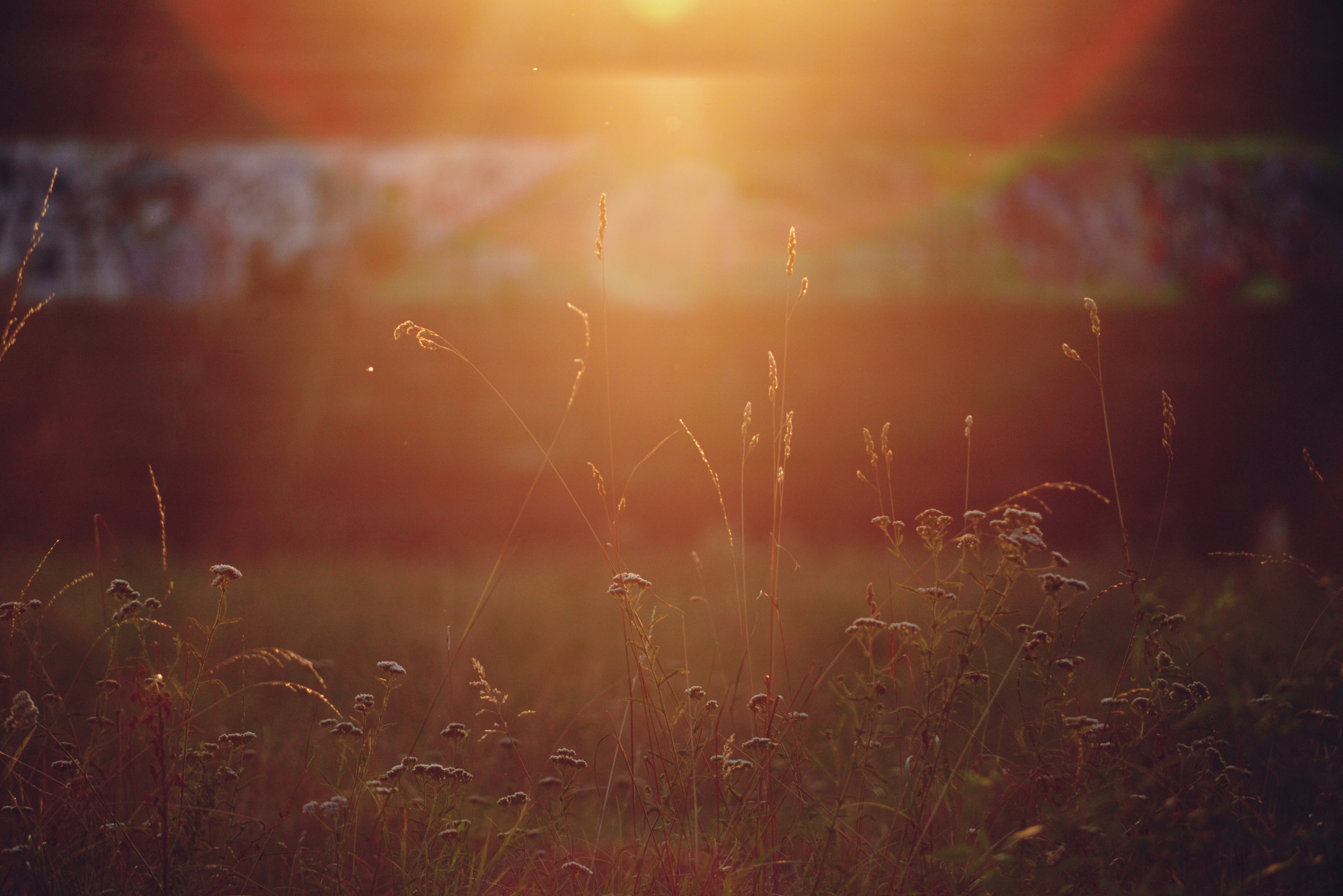 Photo by cherstve_pechivo