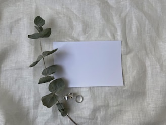 A sheet of paper with a plant on it