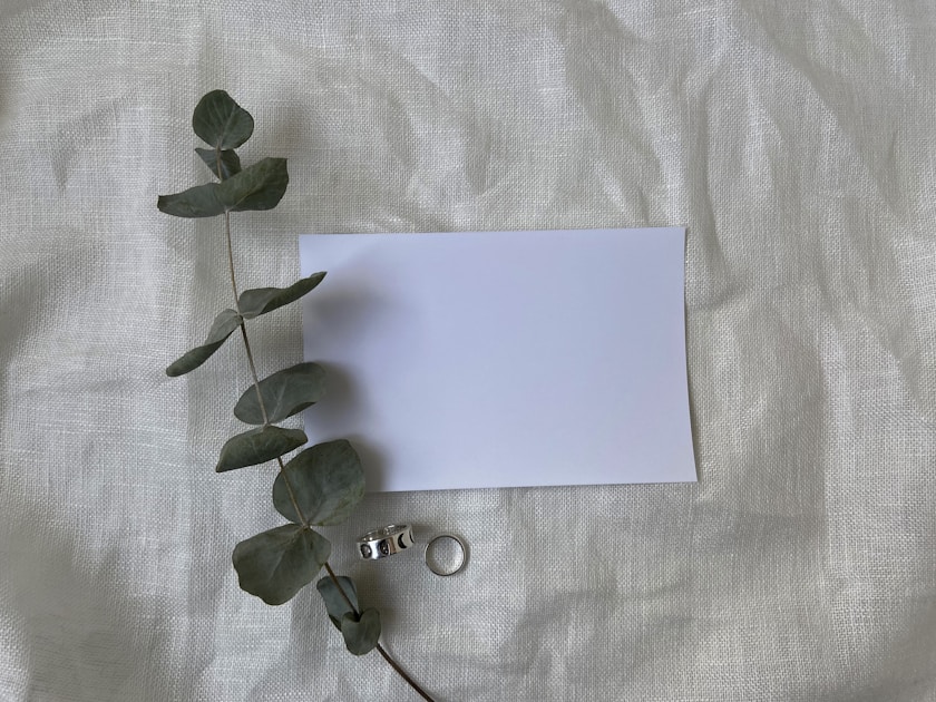 A sheet of paper with a plant on it