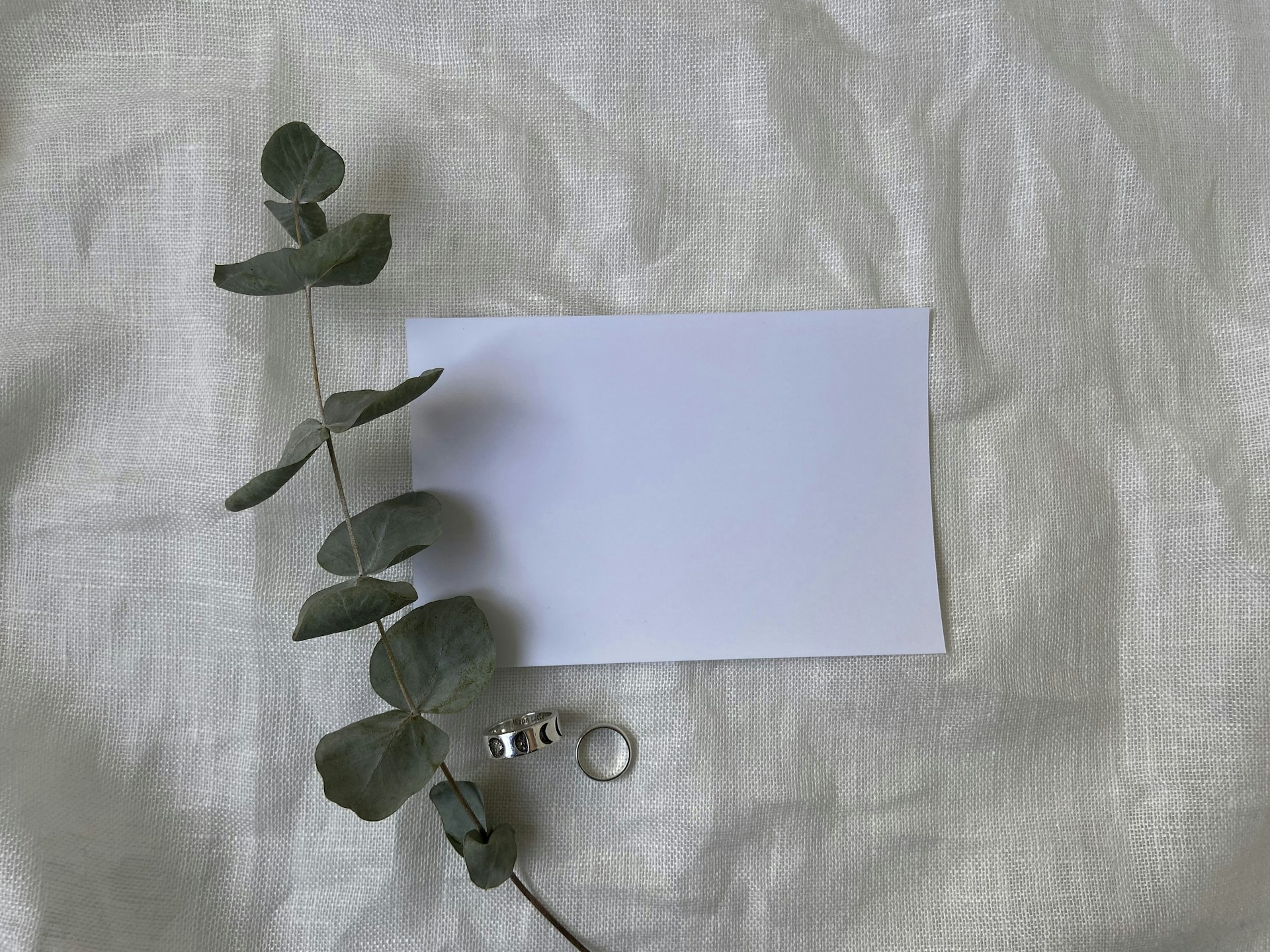 A sheet of paper with a plant on it