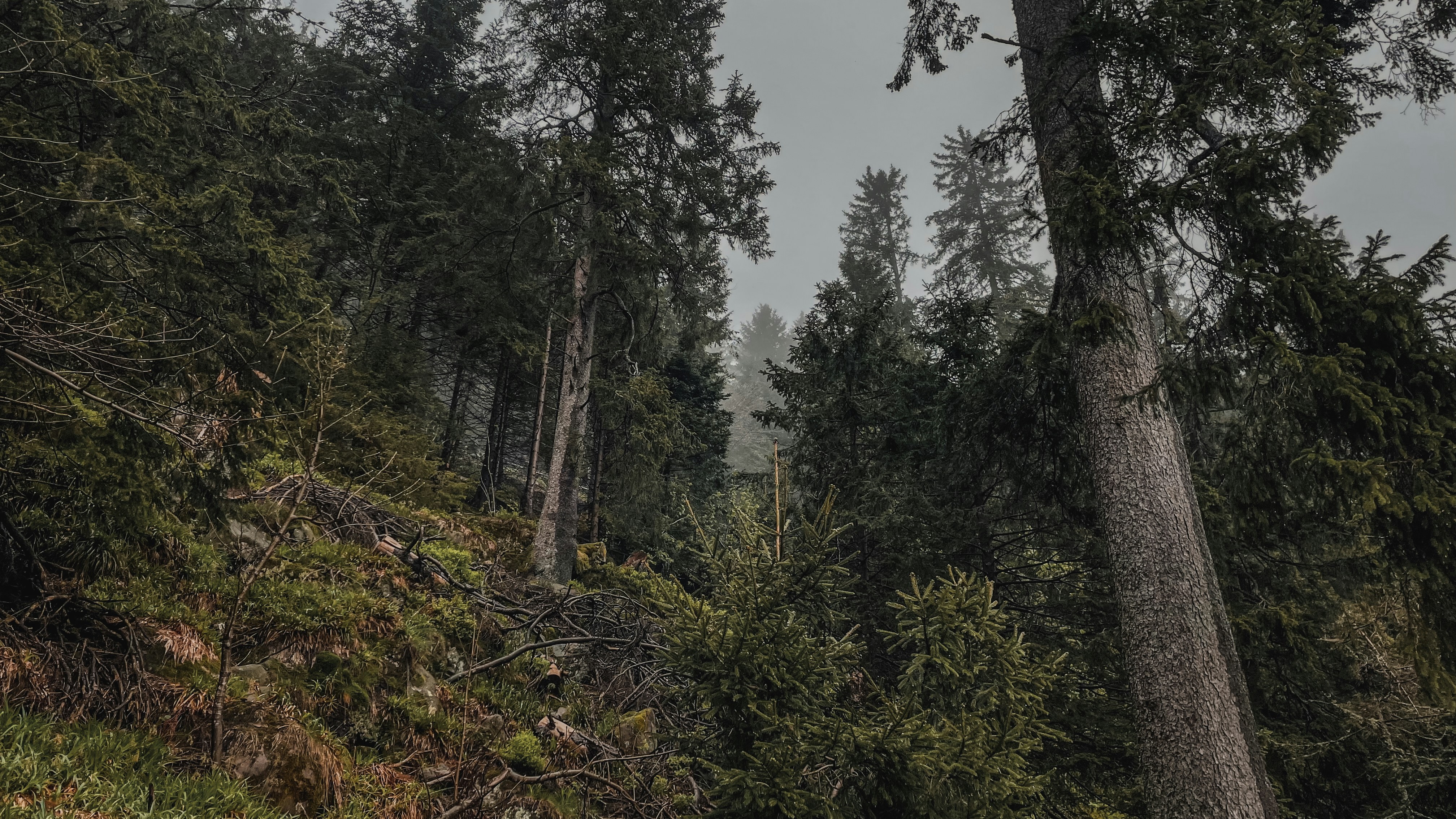 Photo by mihaelstojcevic