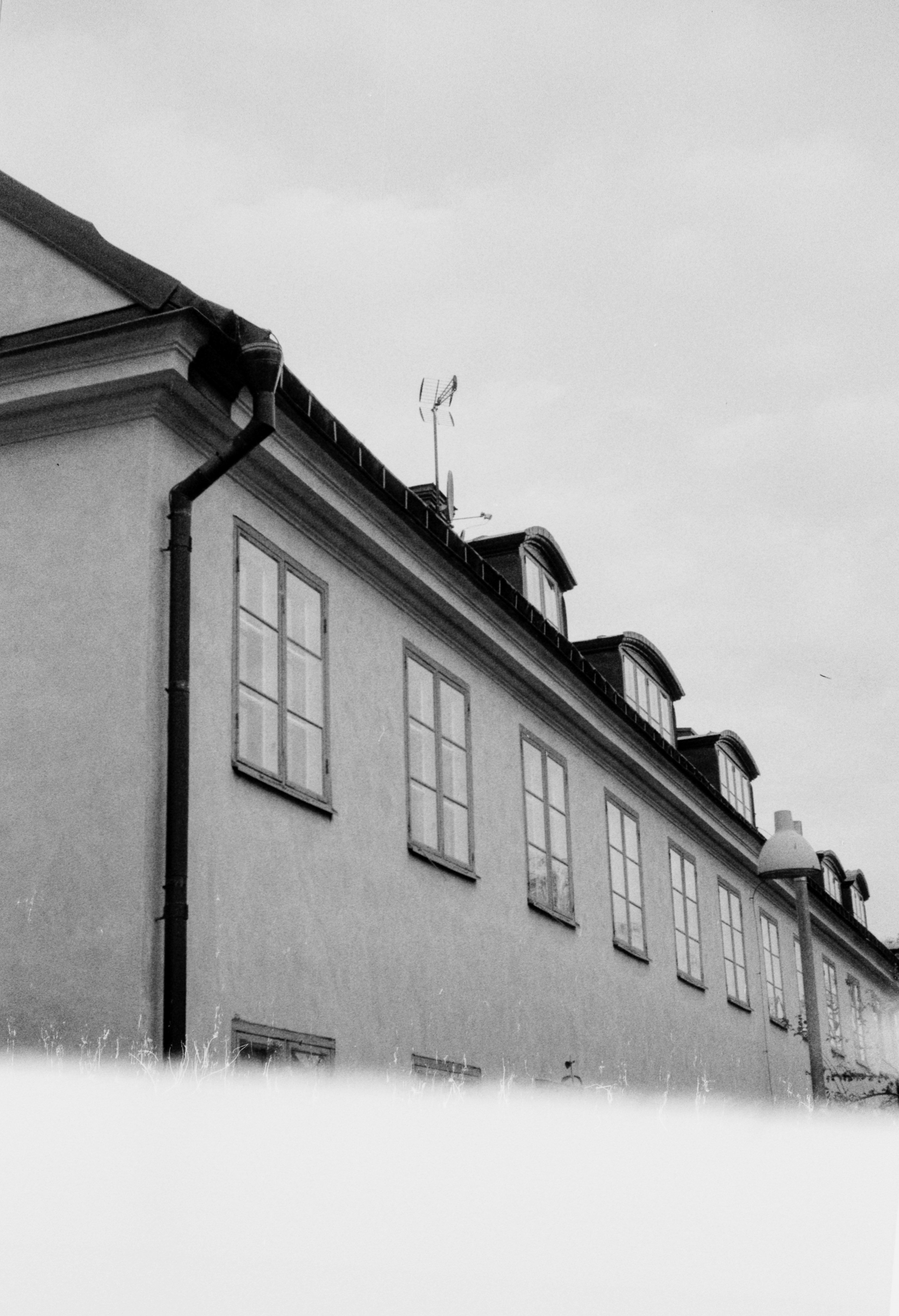 Photo by anniespratt