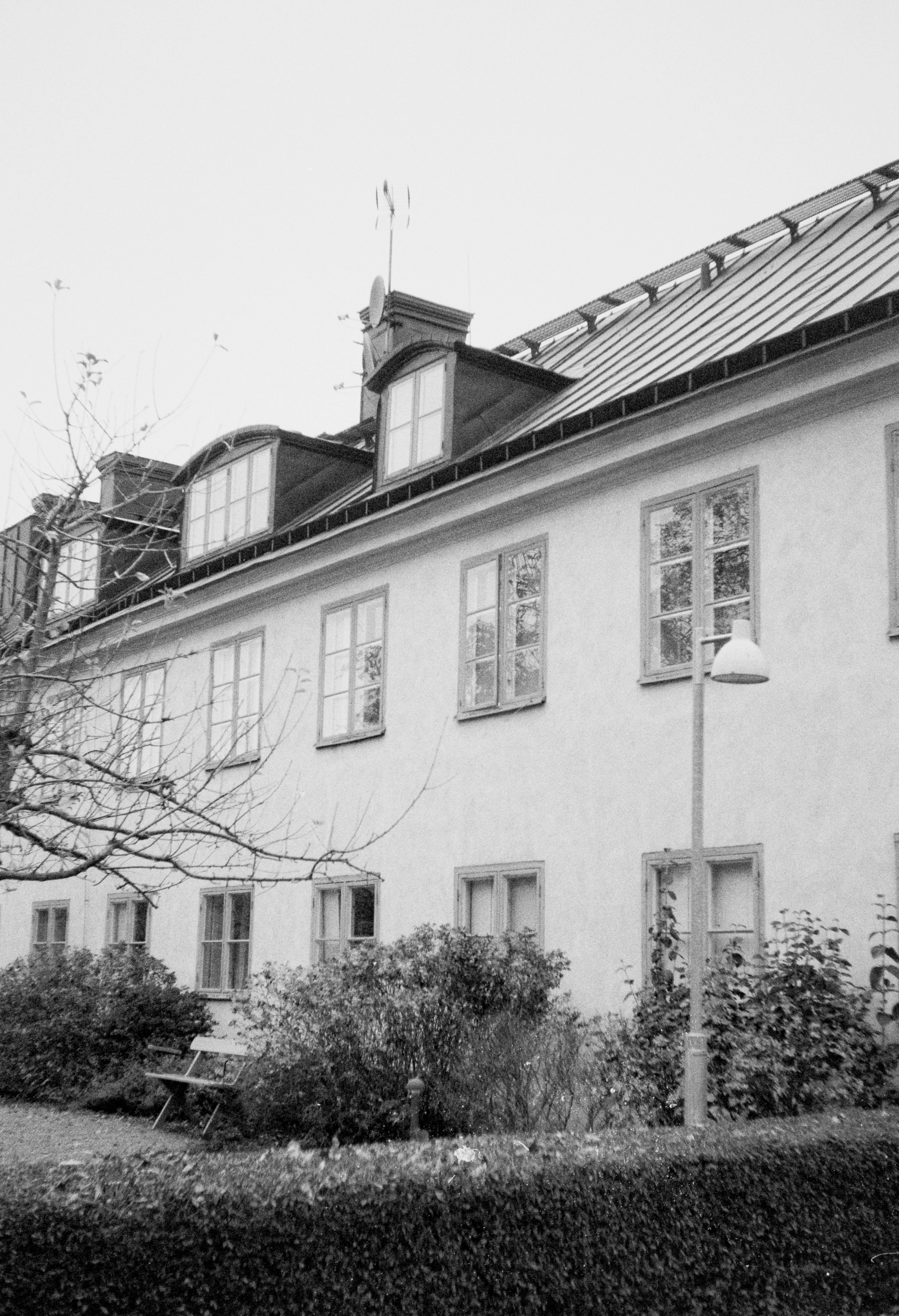 Photo by anniespratt