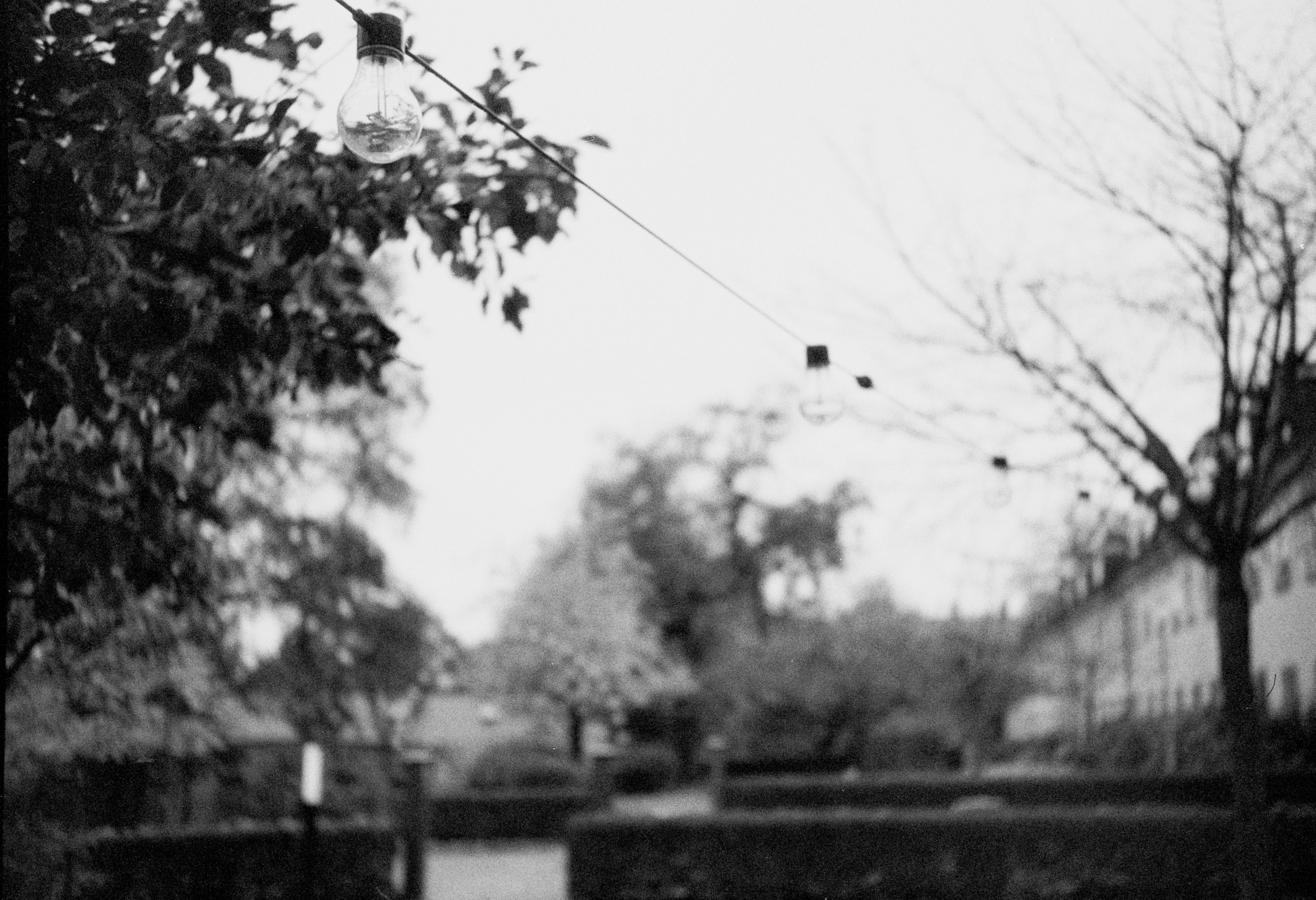 Photo by anniespratt