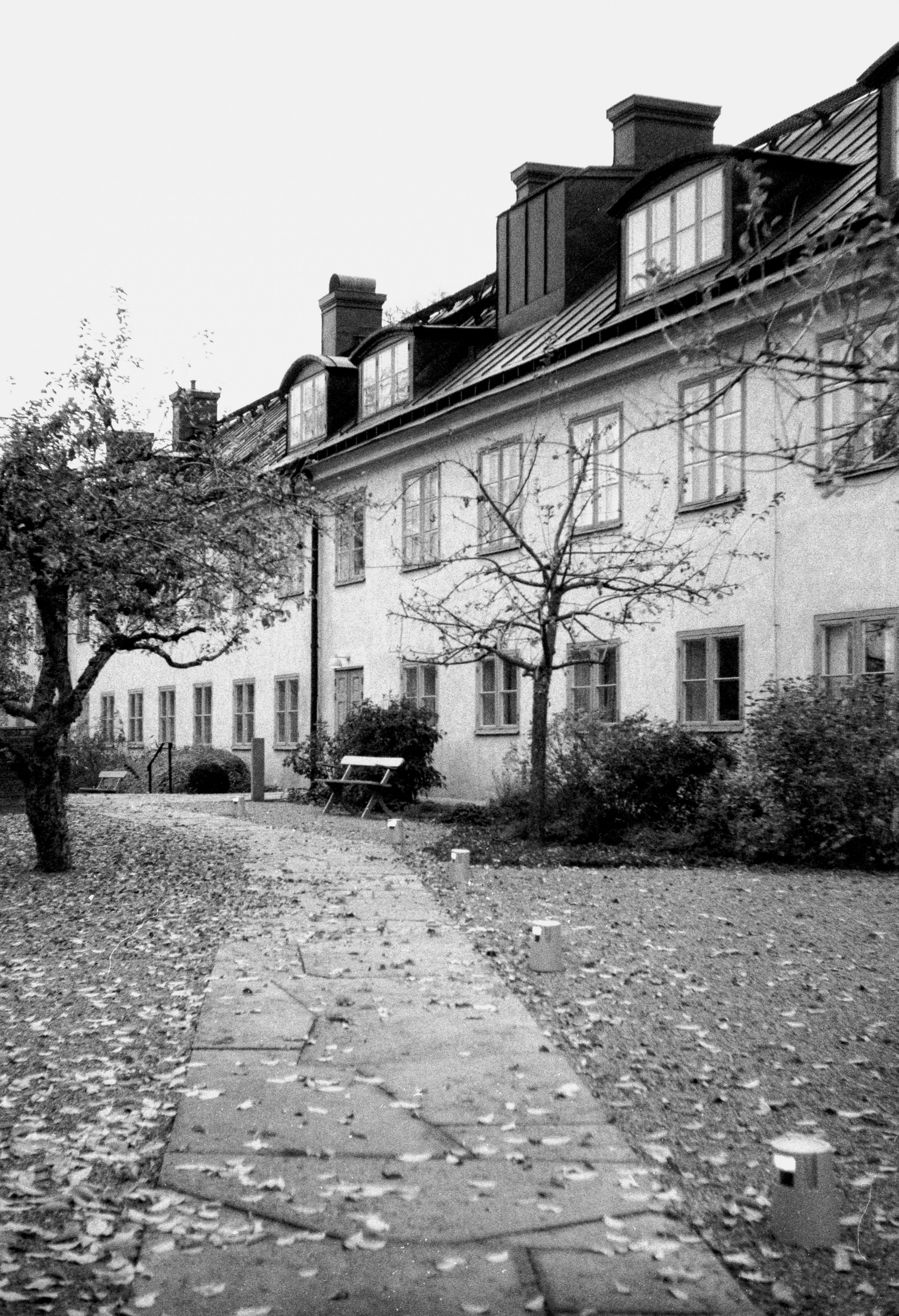 Photo by anniespratt