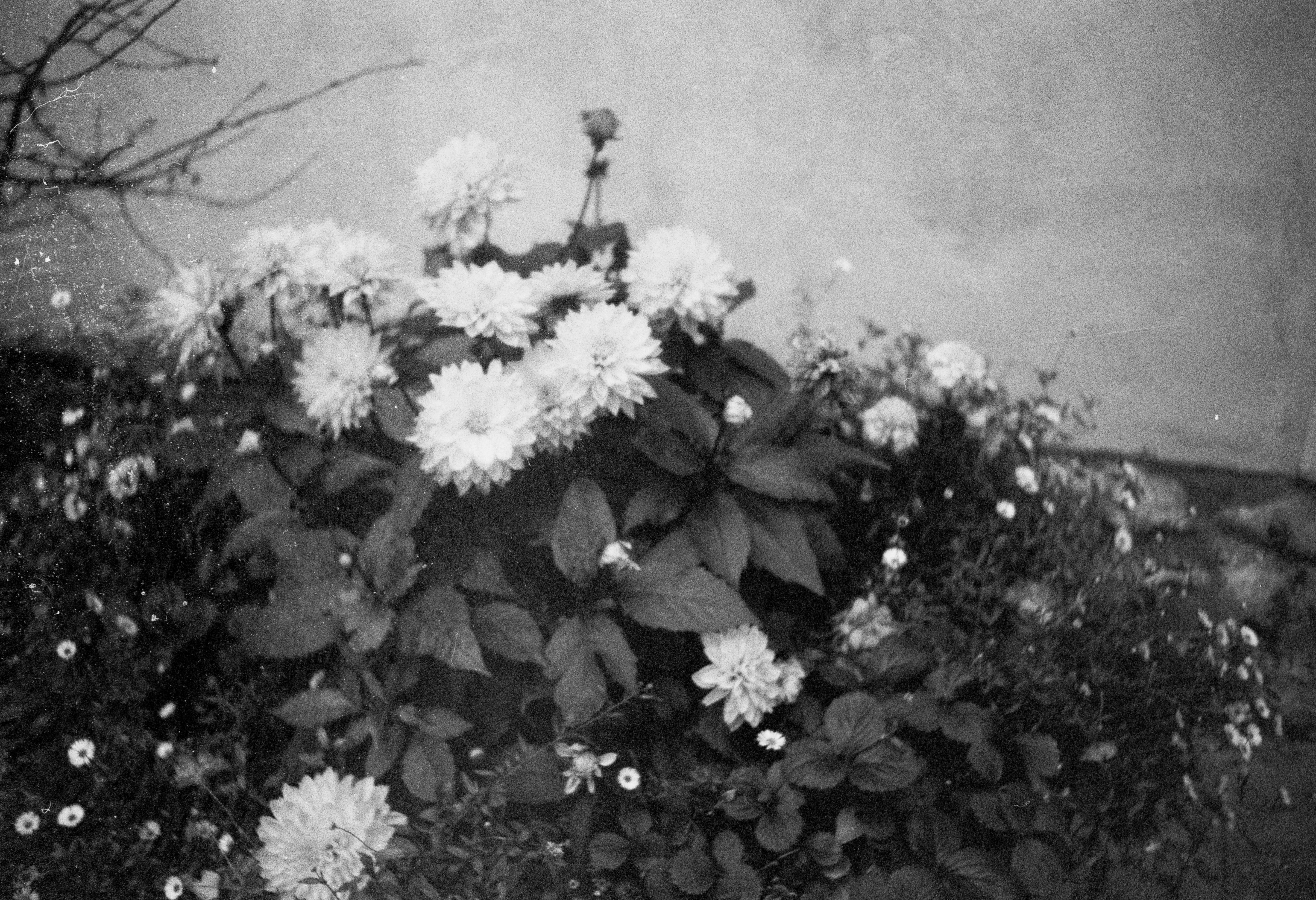 Photo by anniespratt