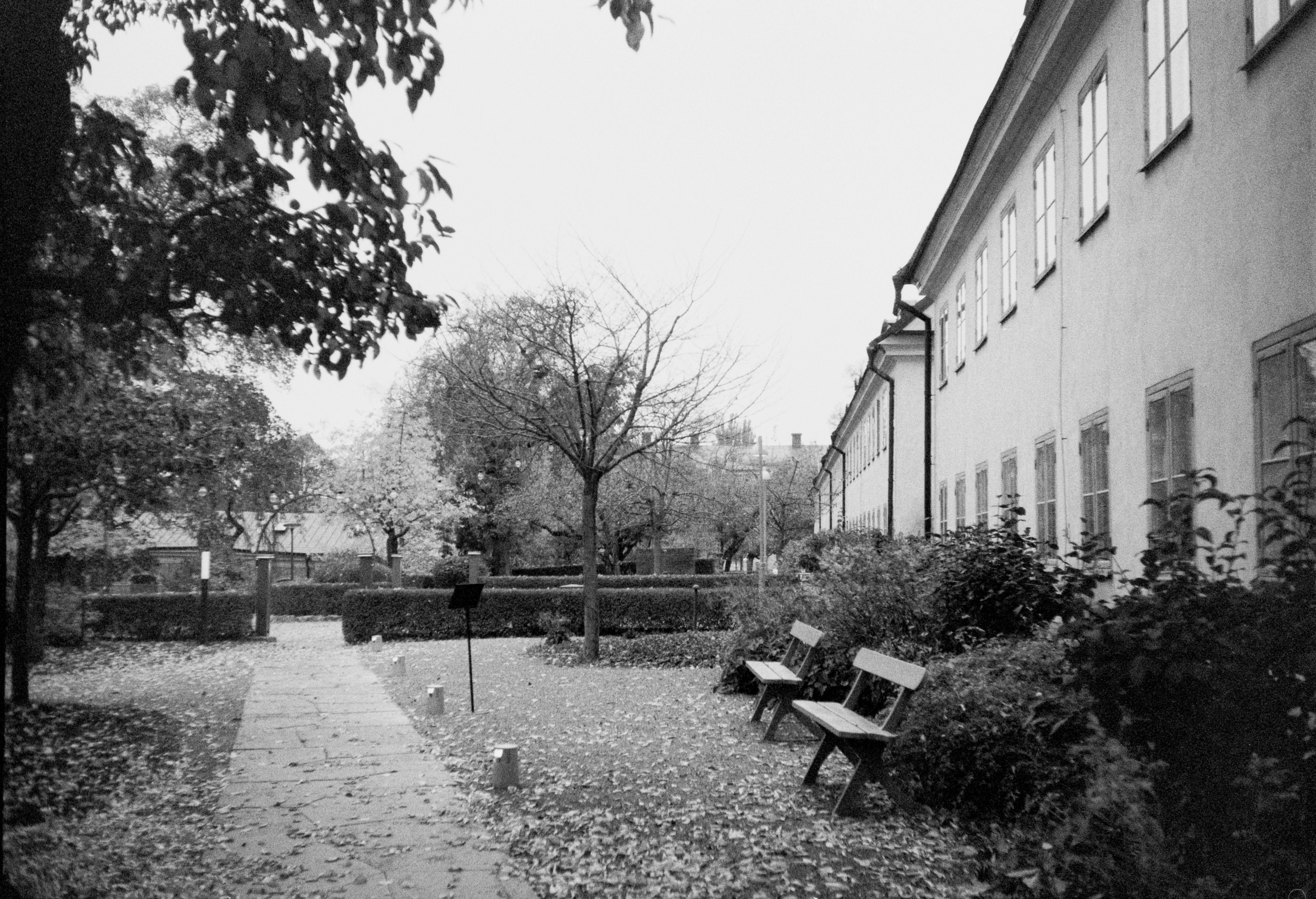 Photo by anniespratt