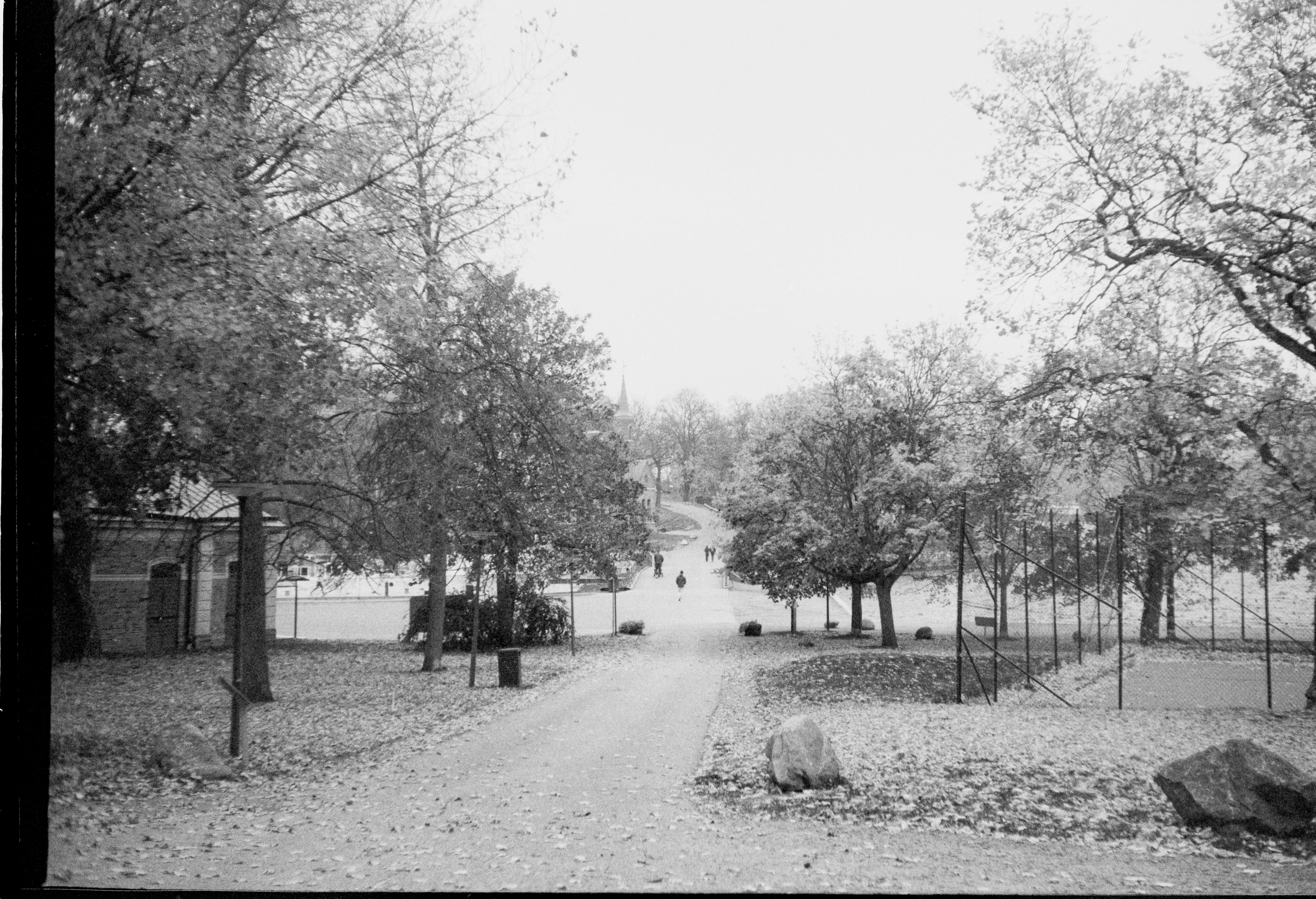 Photo by anniespratt