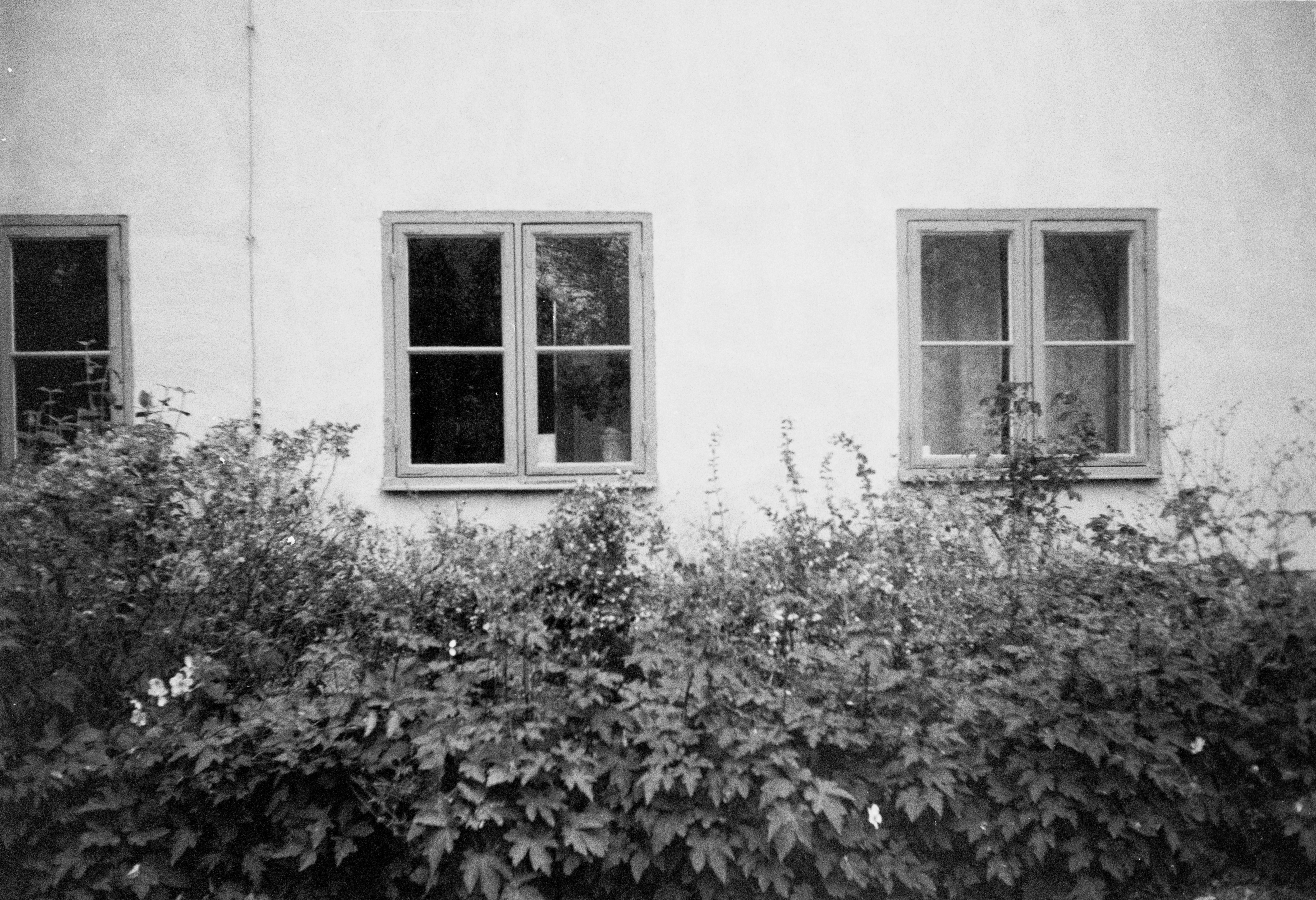 Photo by anniespratt