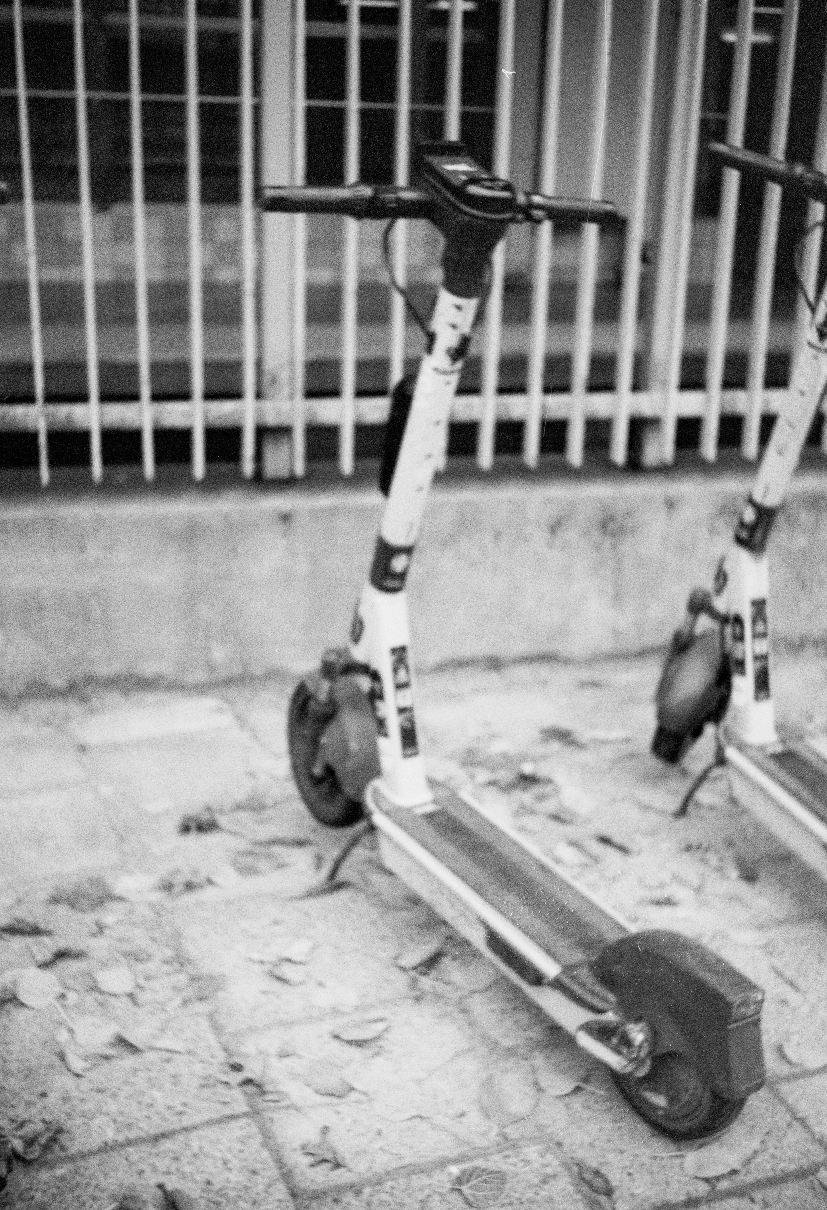 Photo by anniespratt