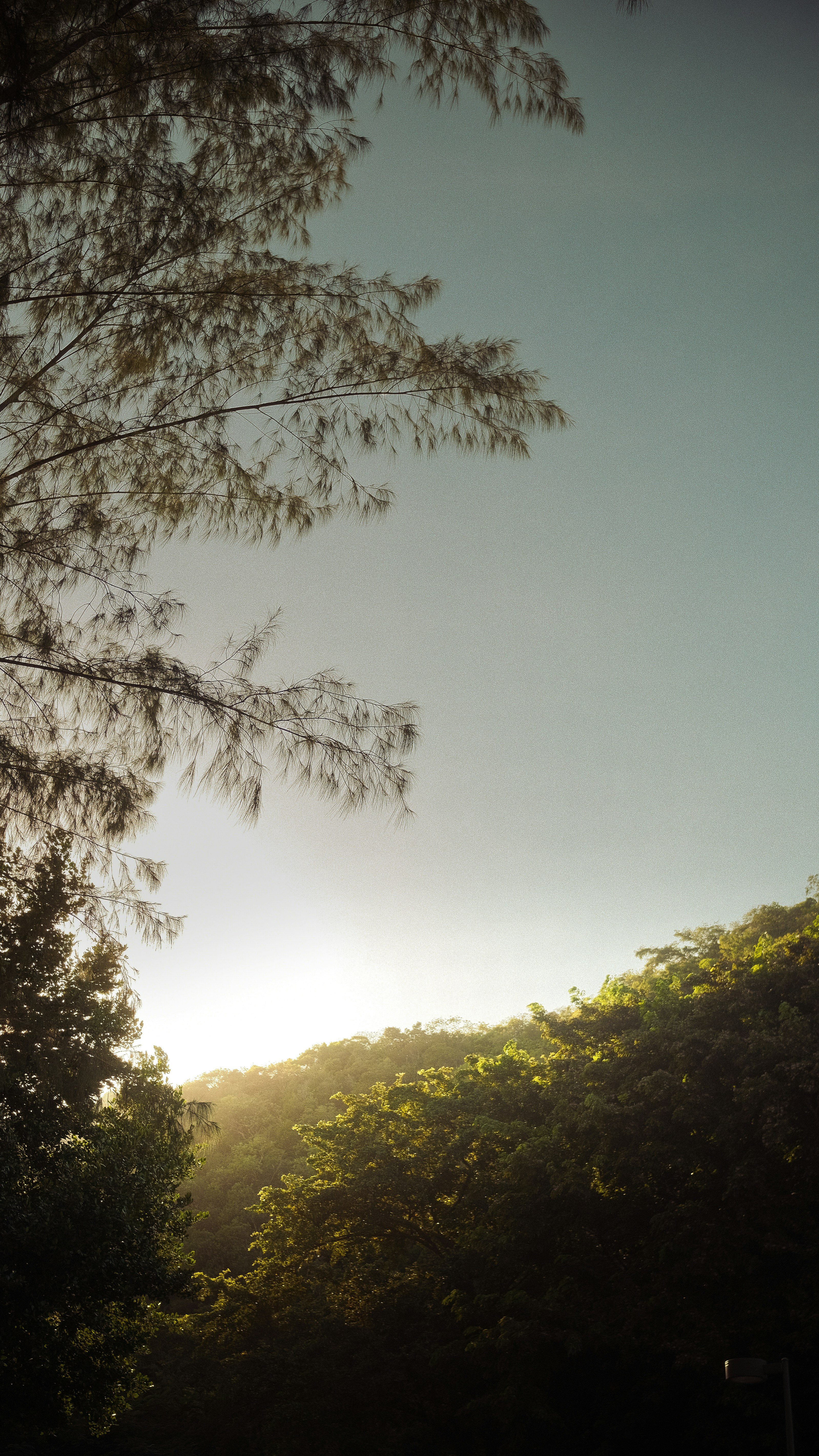 Photo by ivancortez14