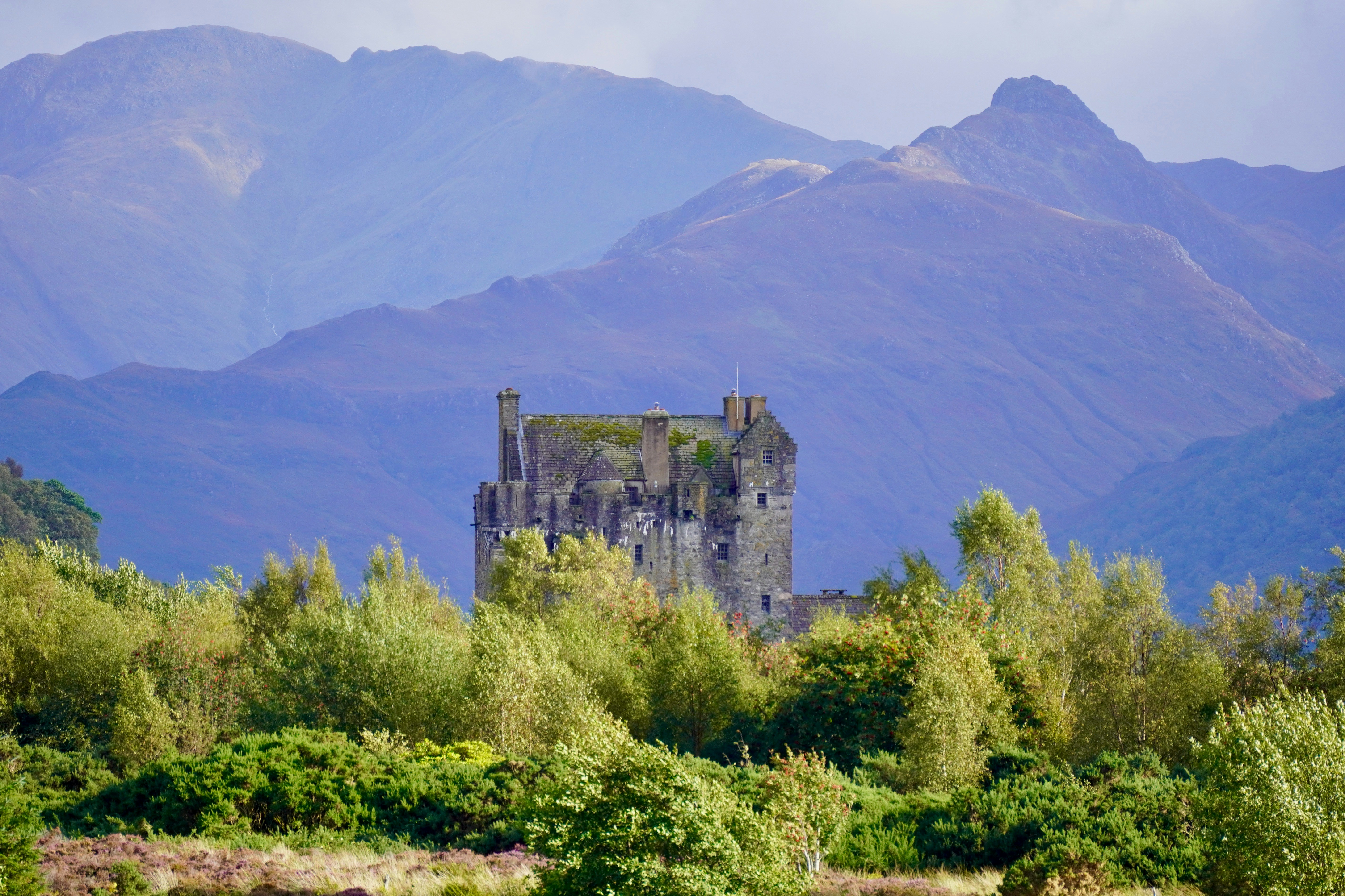 Un castello in mezzo a un bosco con le montagne sullo sfondo