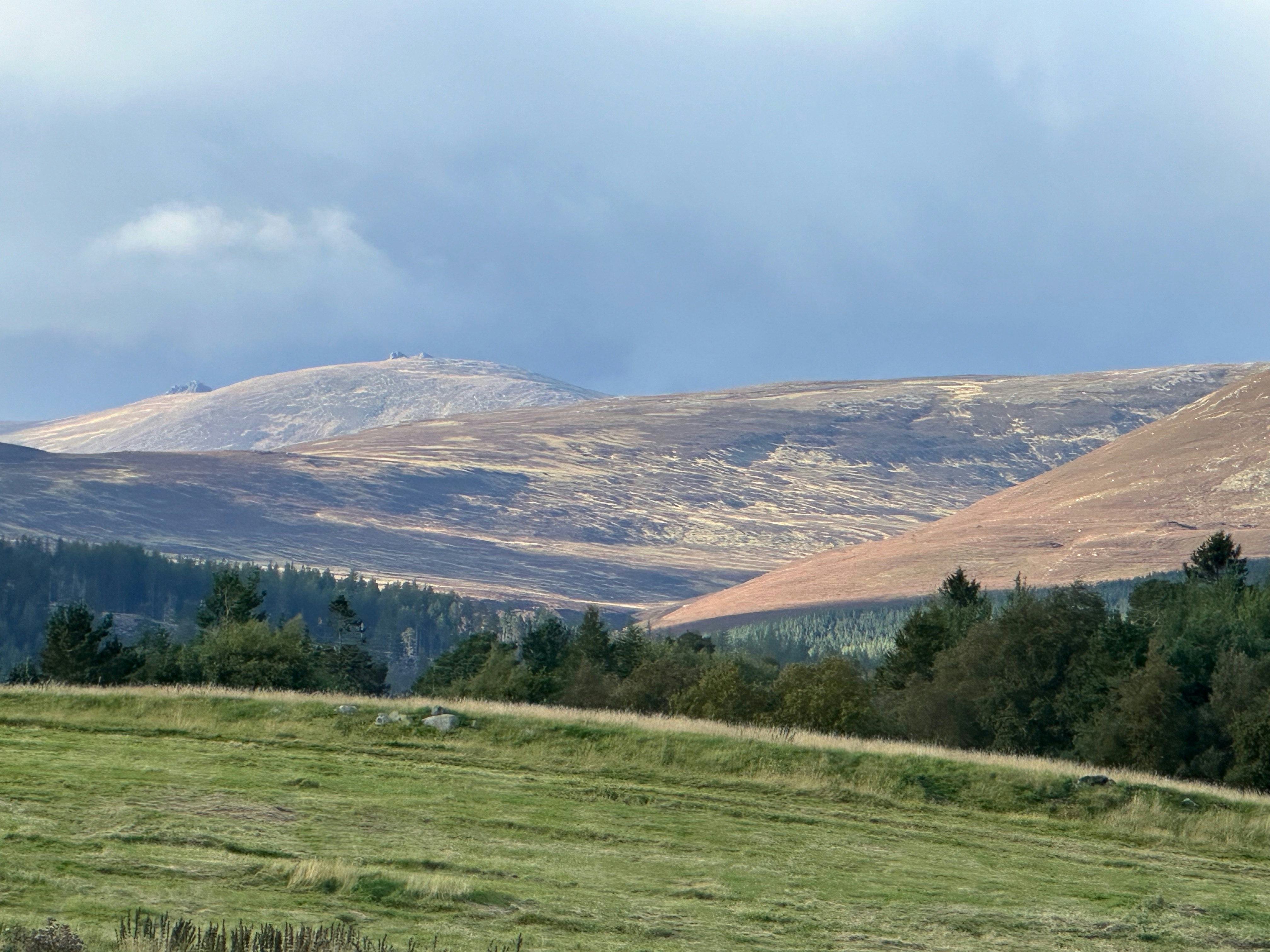 Photo by maartenzaanen