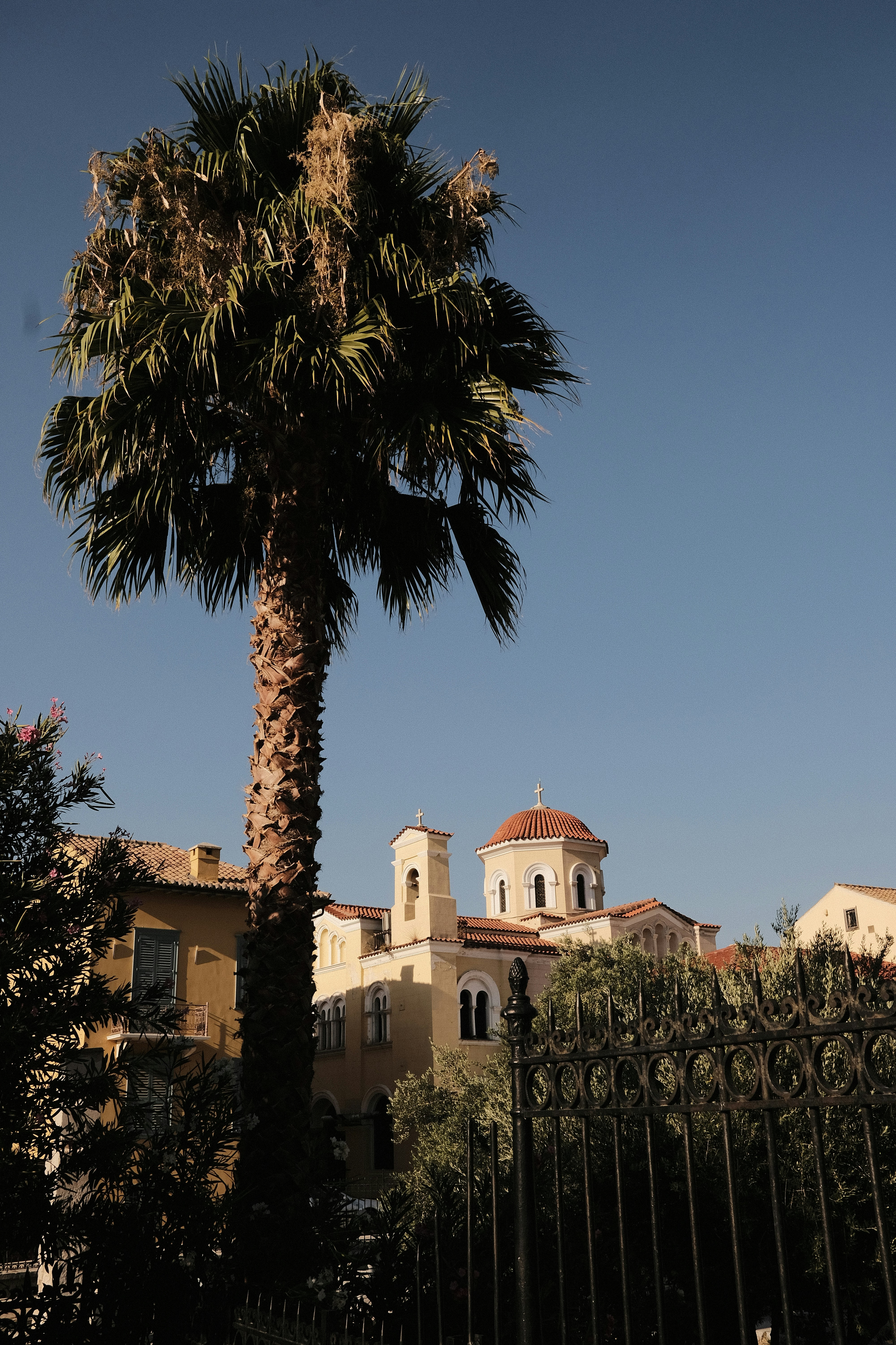 Photo by snapsbyshayno