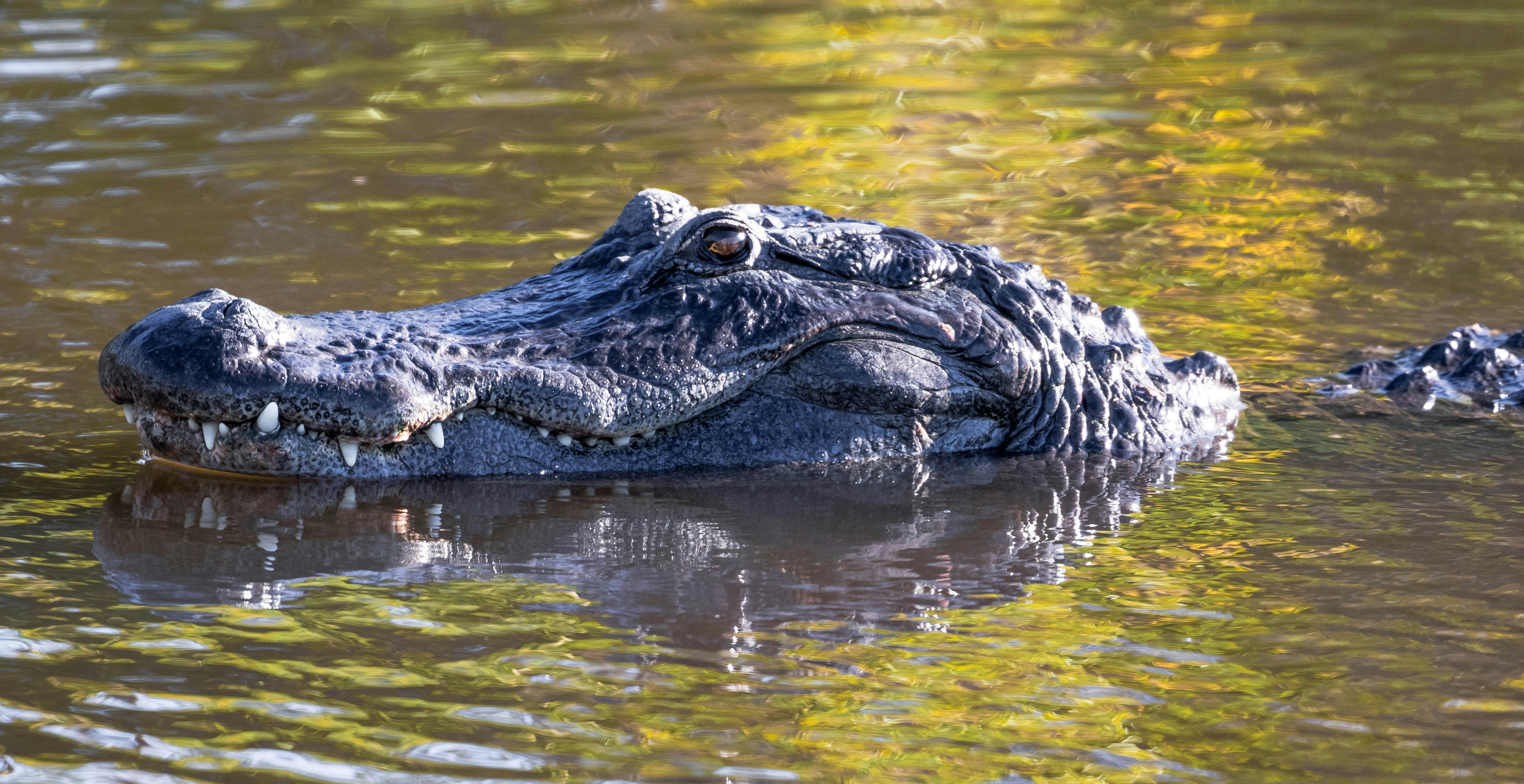 Photo by georgebloise