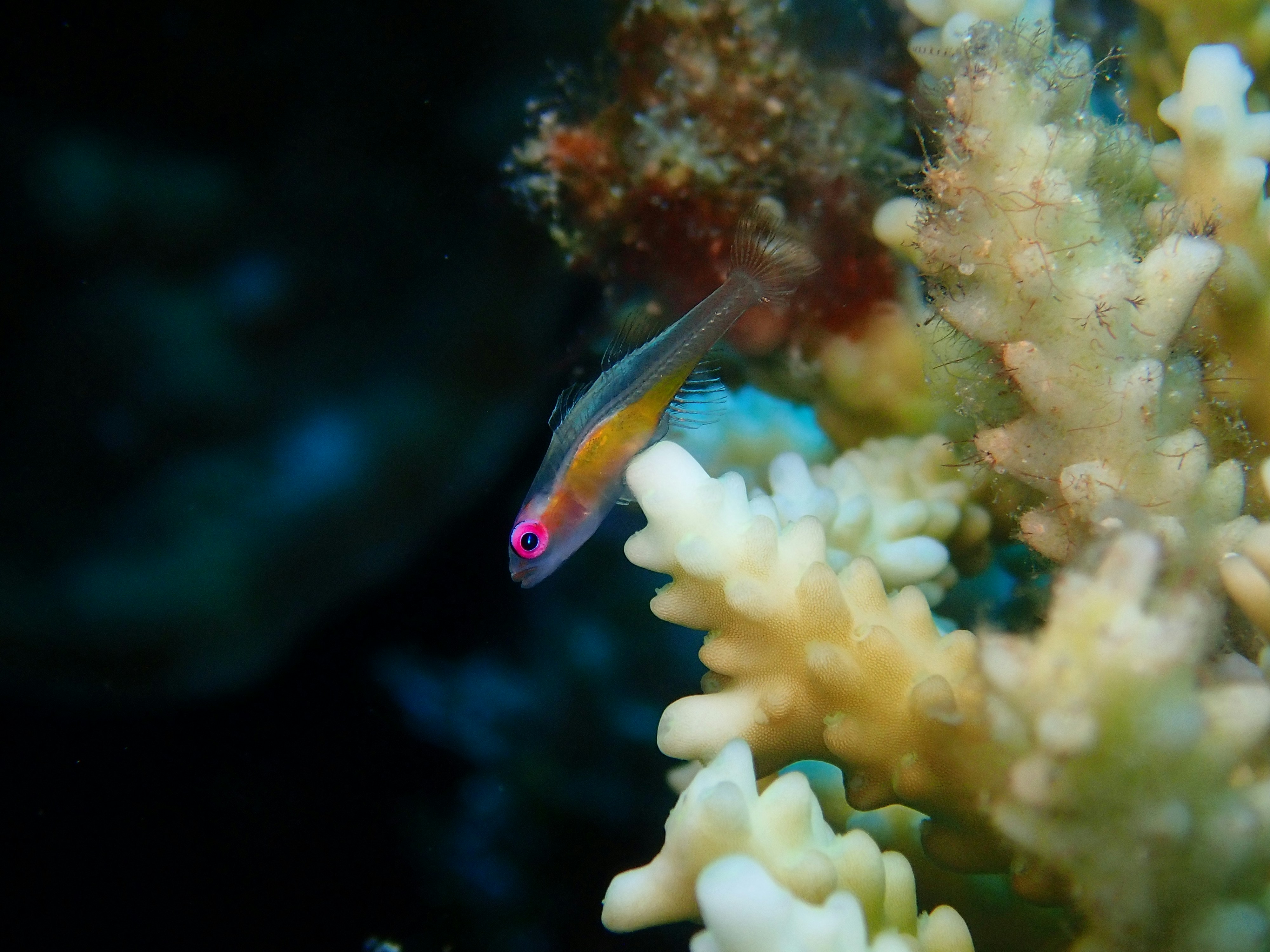 Photo by hiroyukikasuga