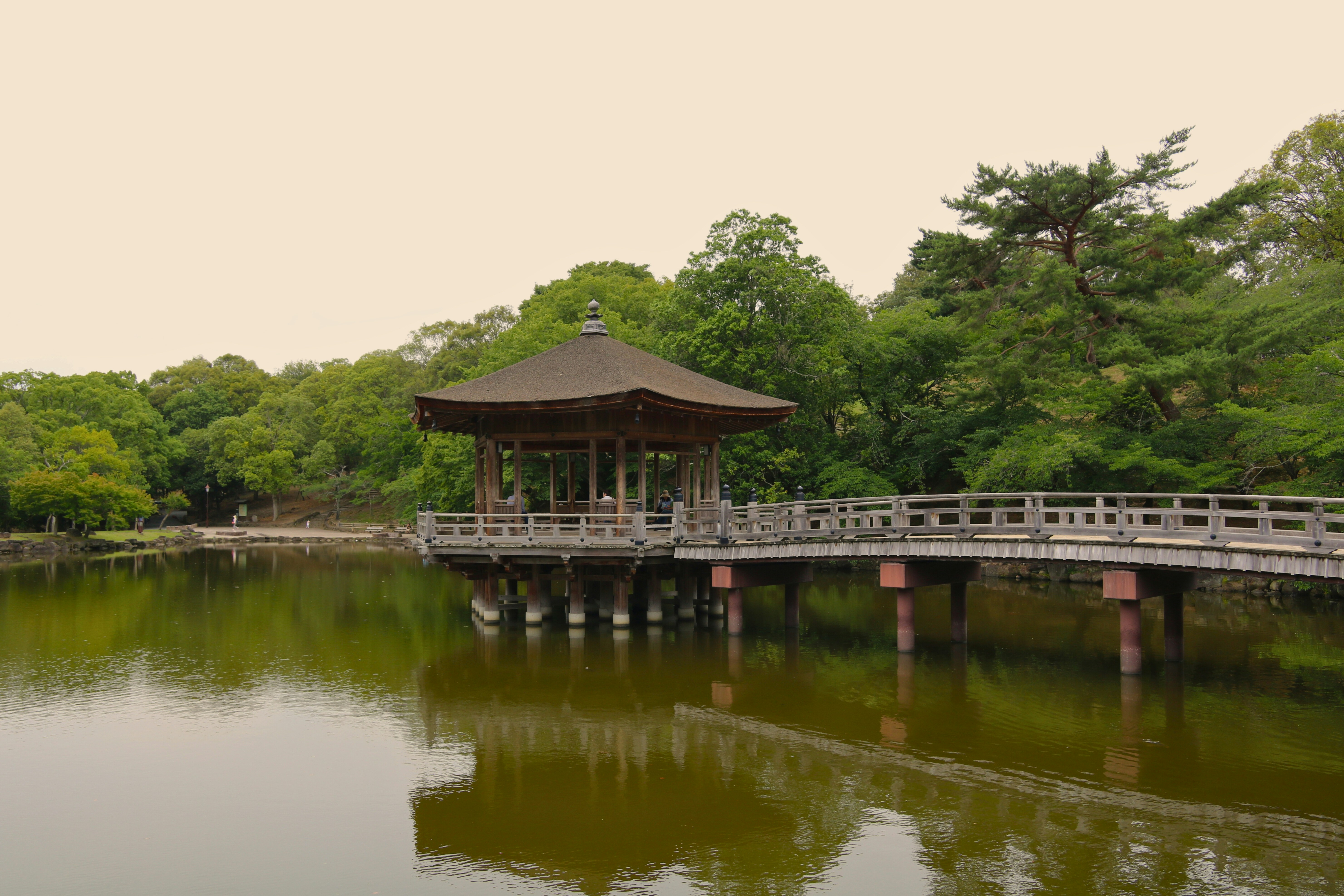 Photo by brunafisantos