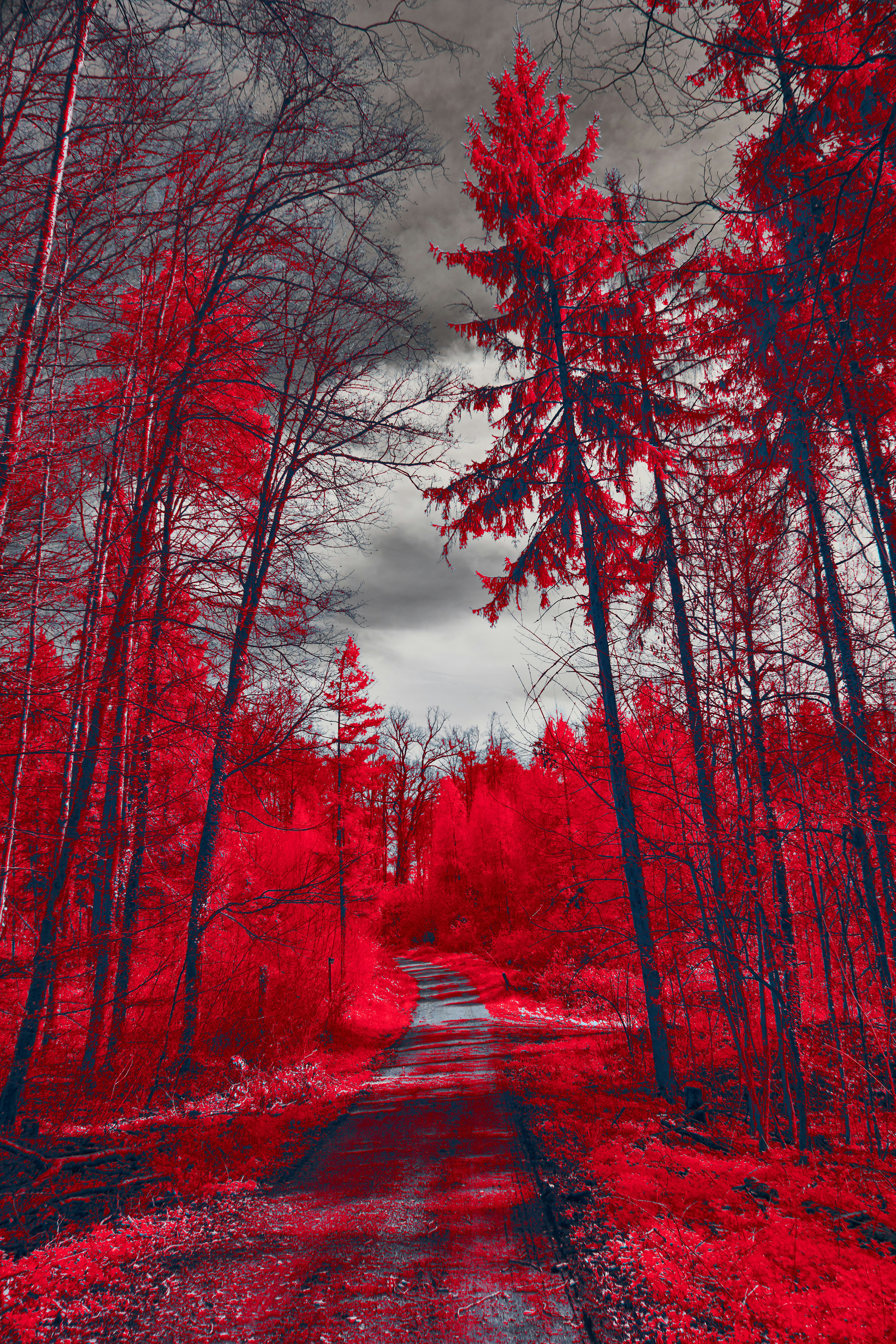 Photo by wolfgang_hasselmann