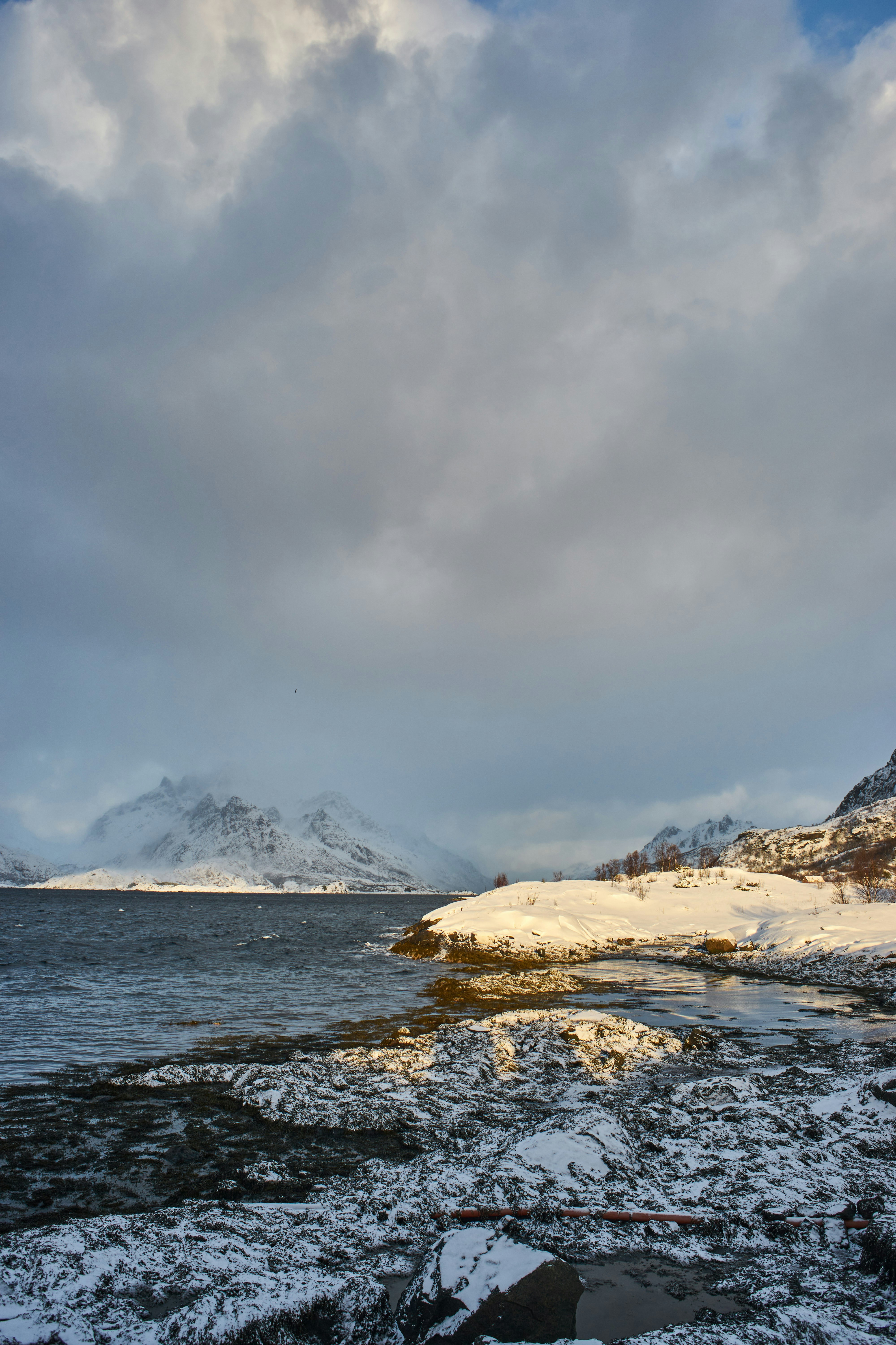 Photo by wolfgang_hasselmann