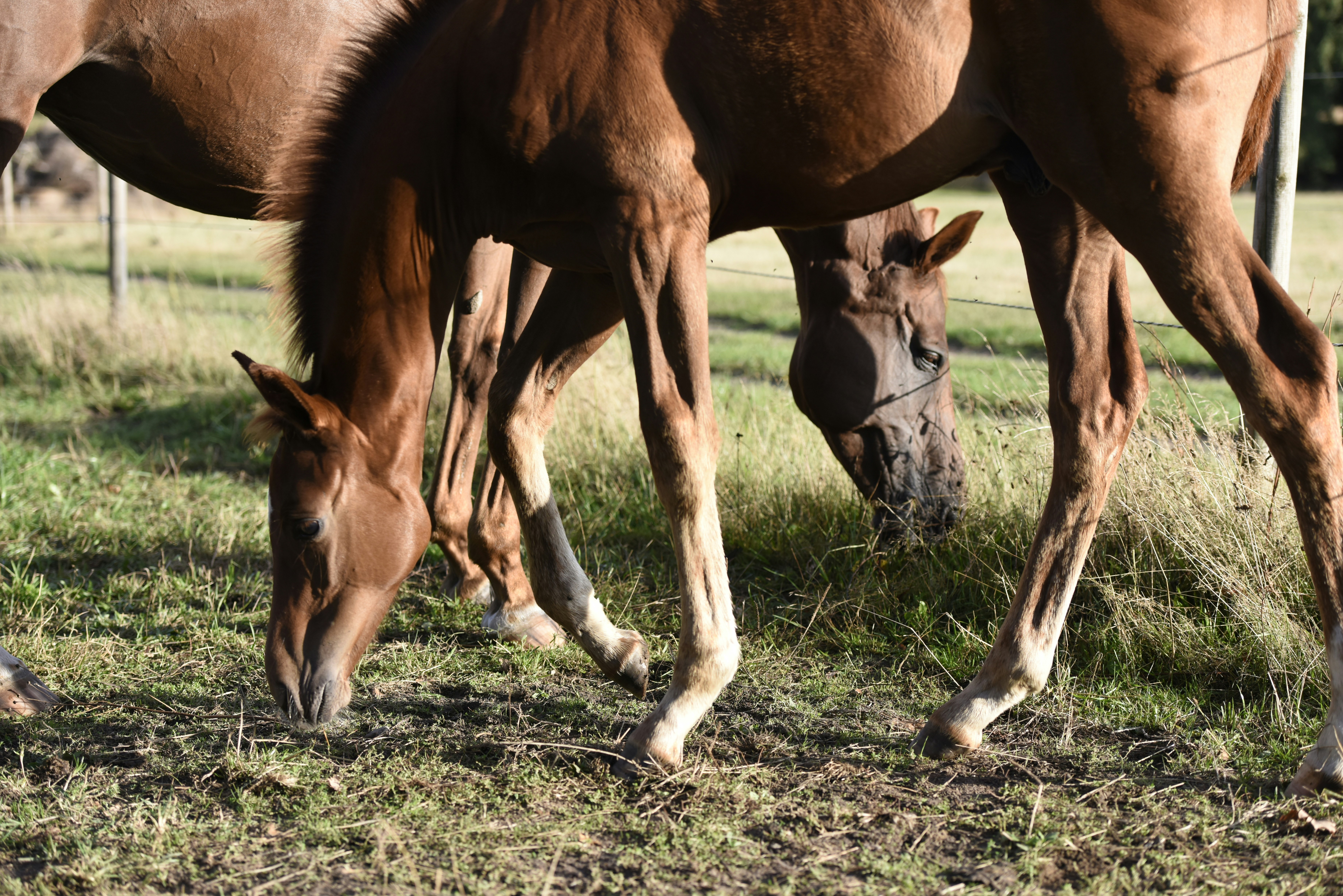 Photo by jrcederholm