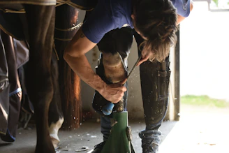 A person bending down to pet a horse