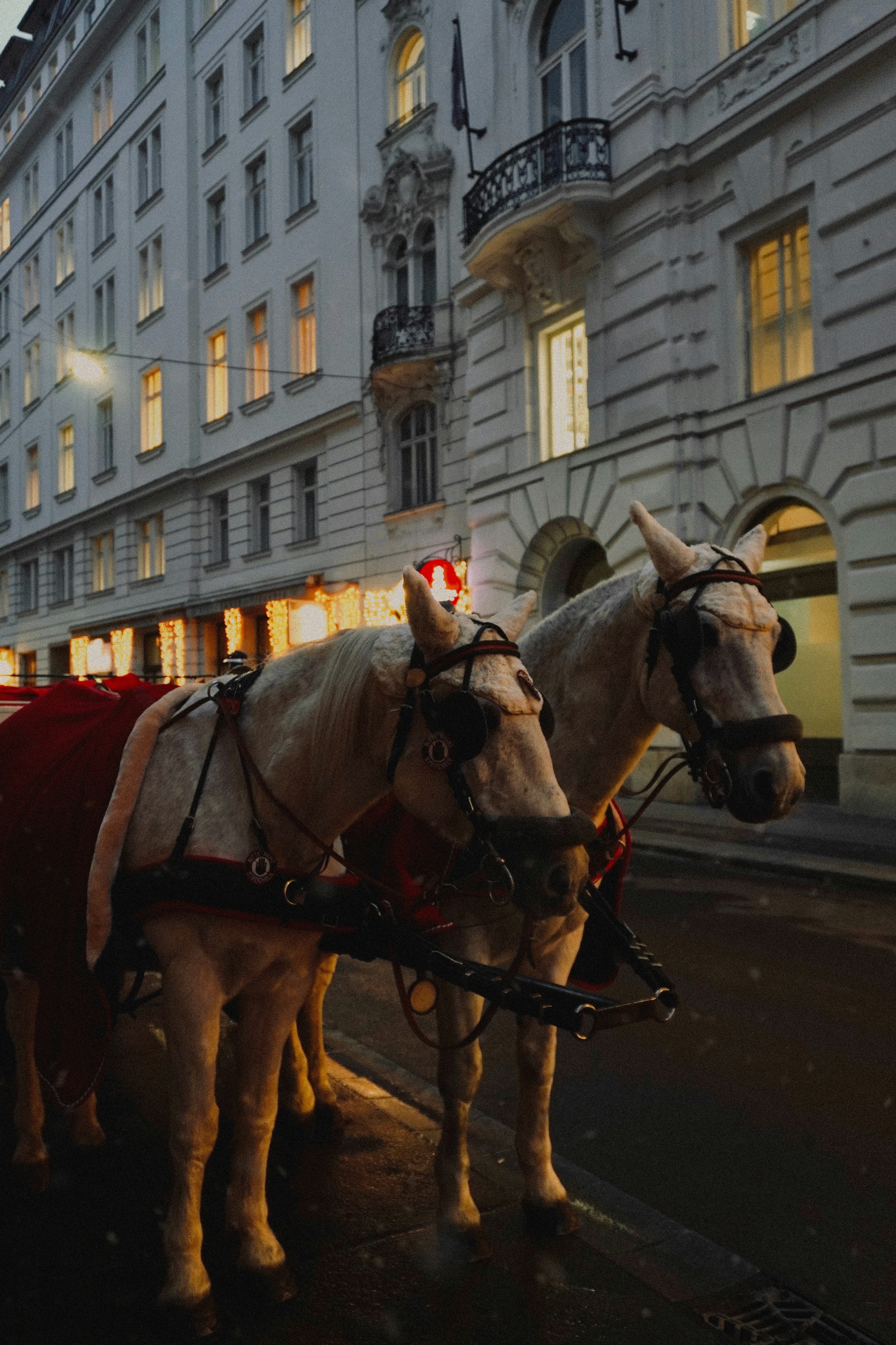 Photo by franziskawe01