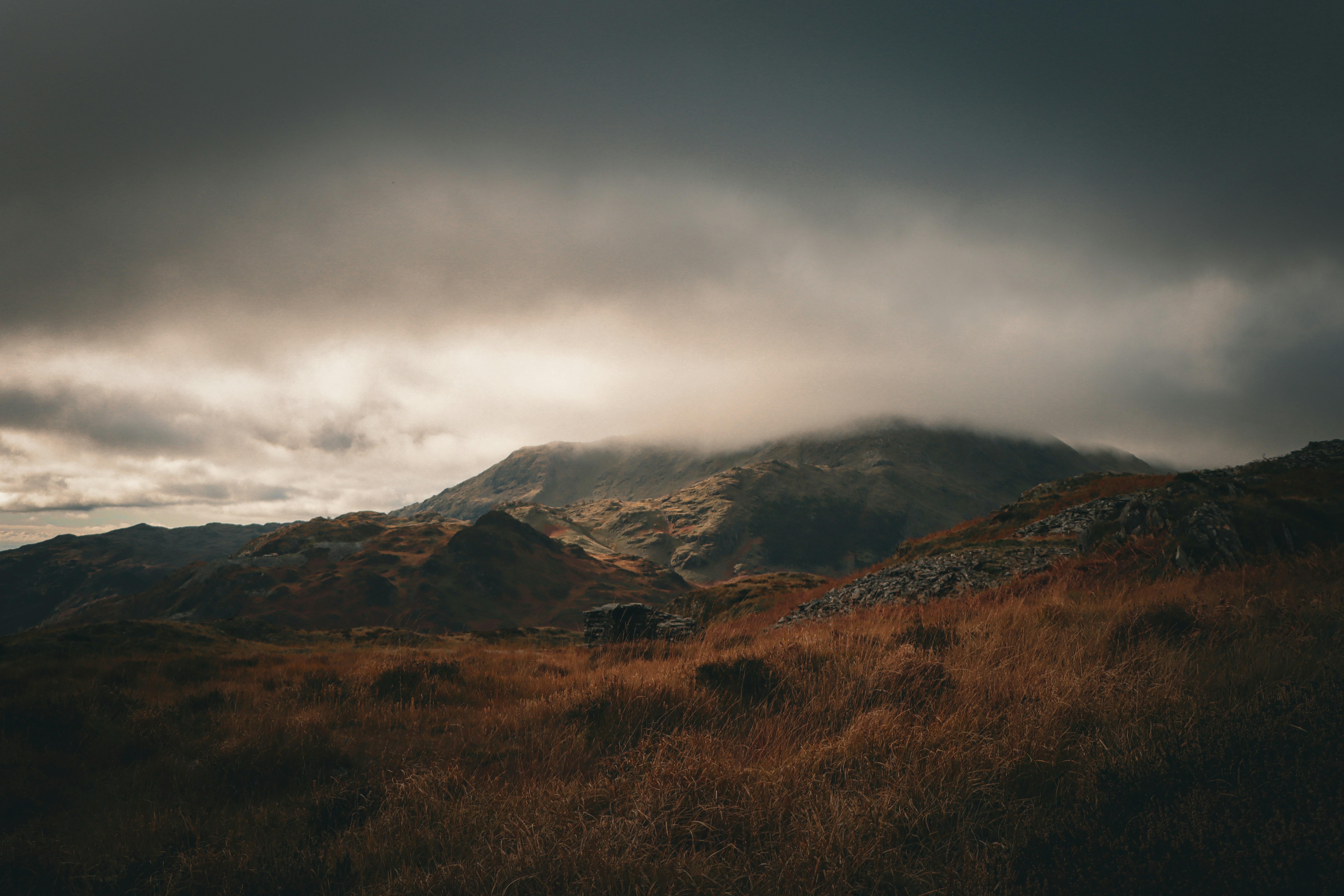 Photo by racheljharvey