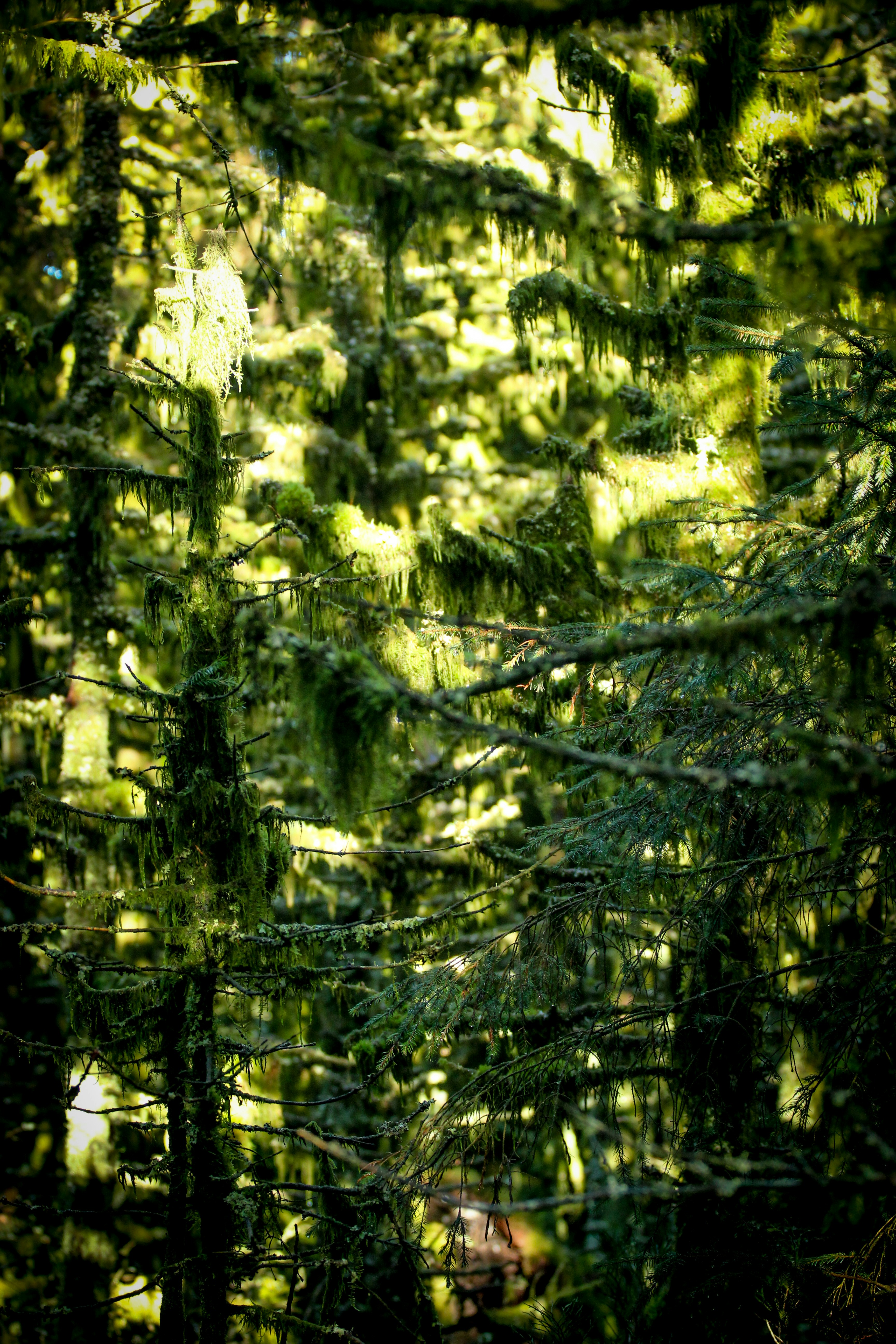 Photo by racheljharvey