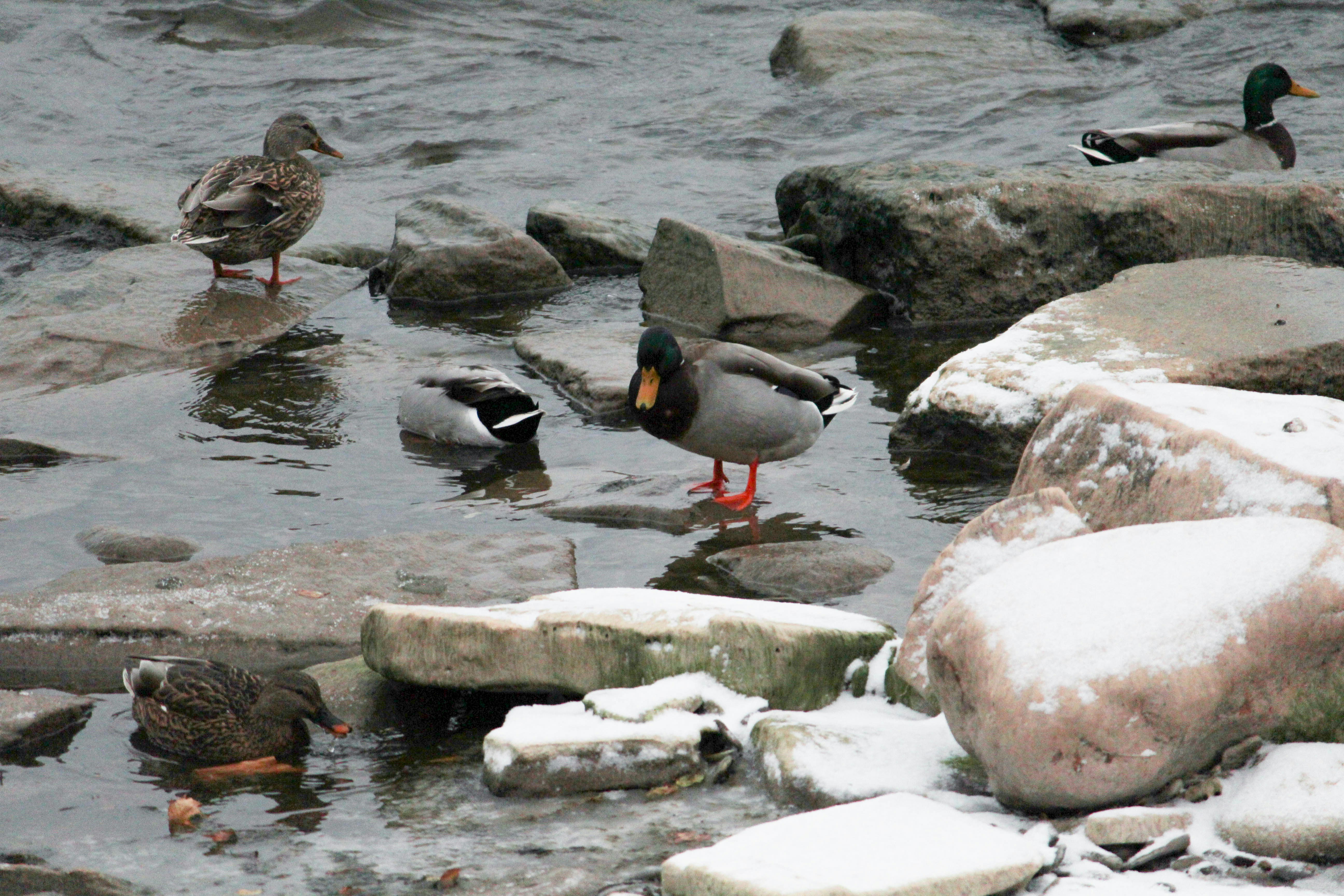 Photo by uncommoneveryday