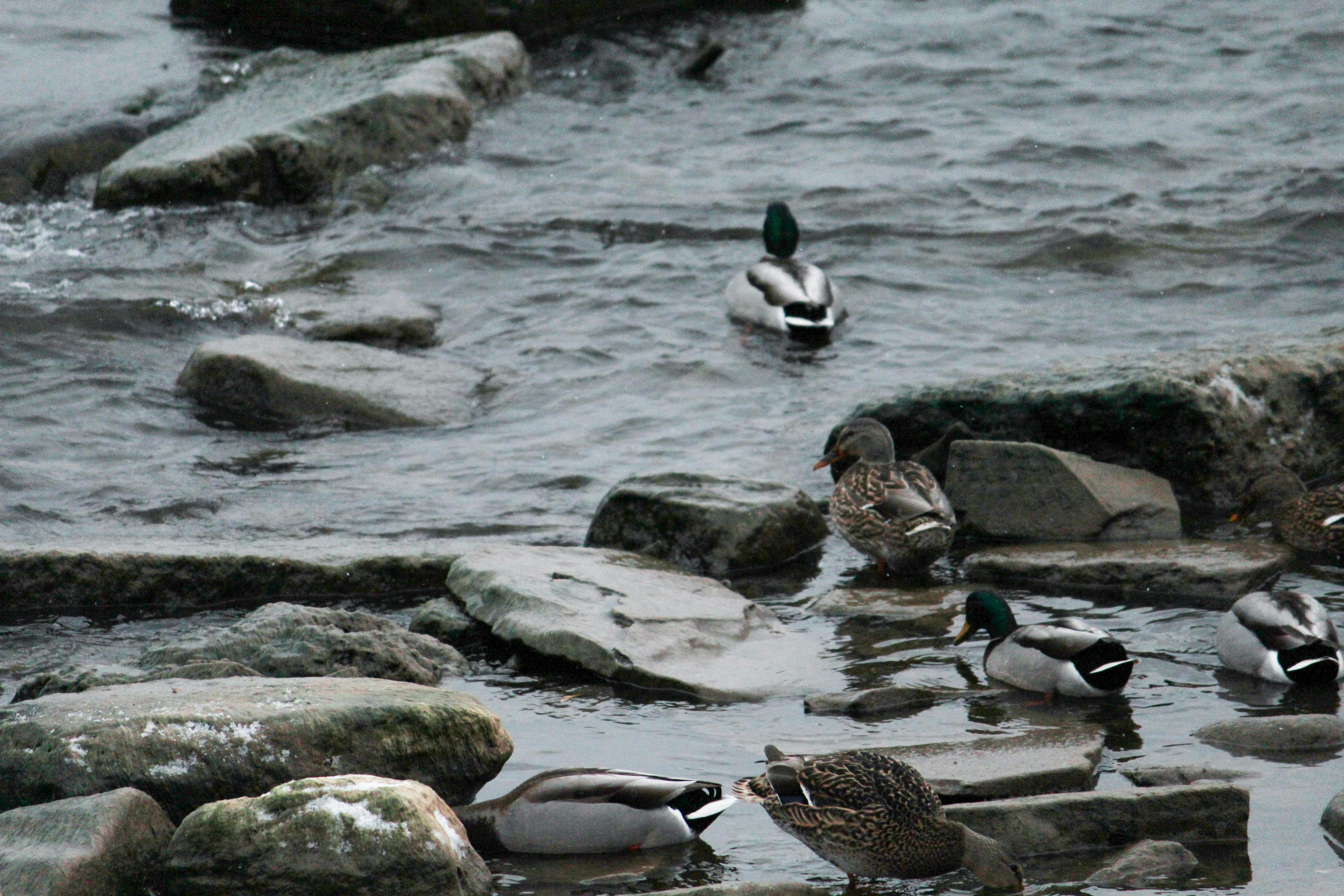 Photo by uncommoneveryday