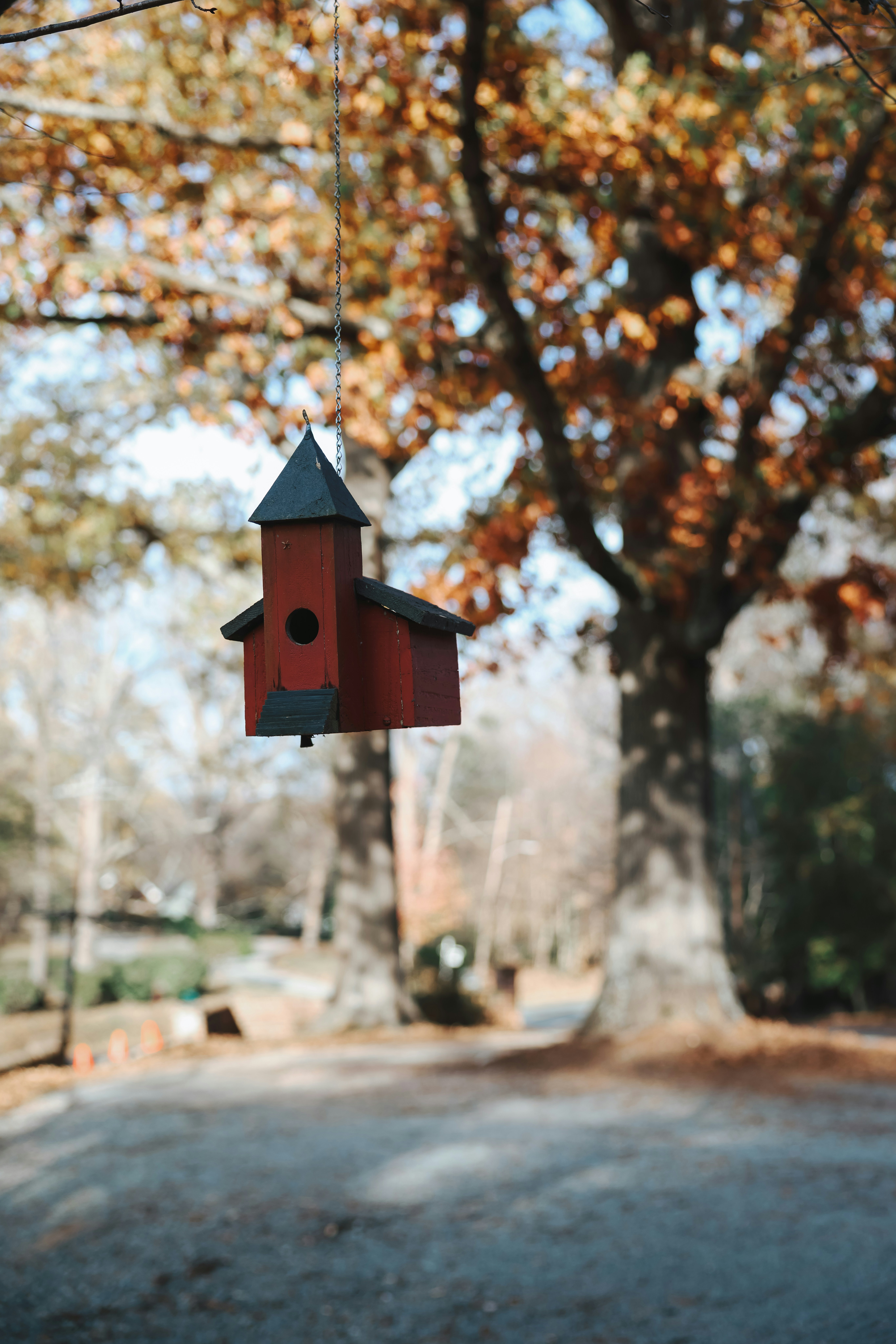 Ein rotes Vogelhaus, das an einem Draht vor einem Baum hängt