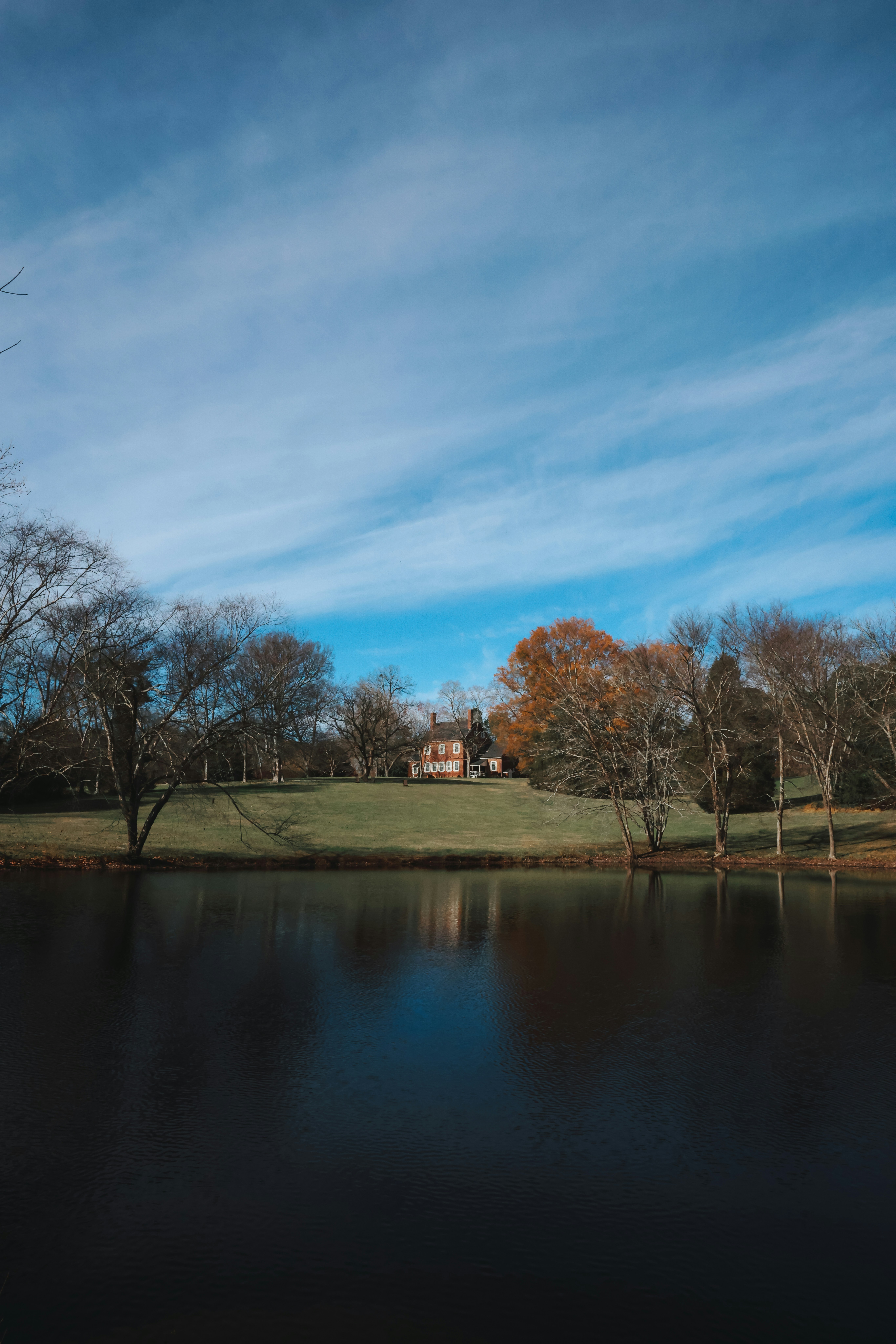 Ein großes Gewässer umgeben von Bäumen