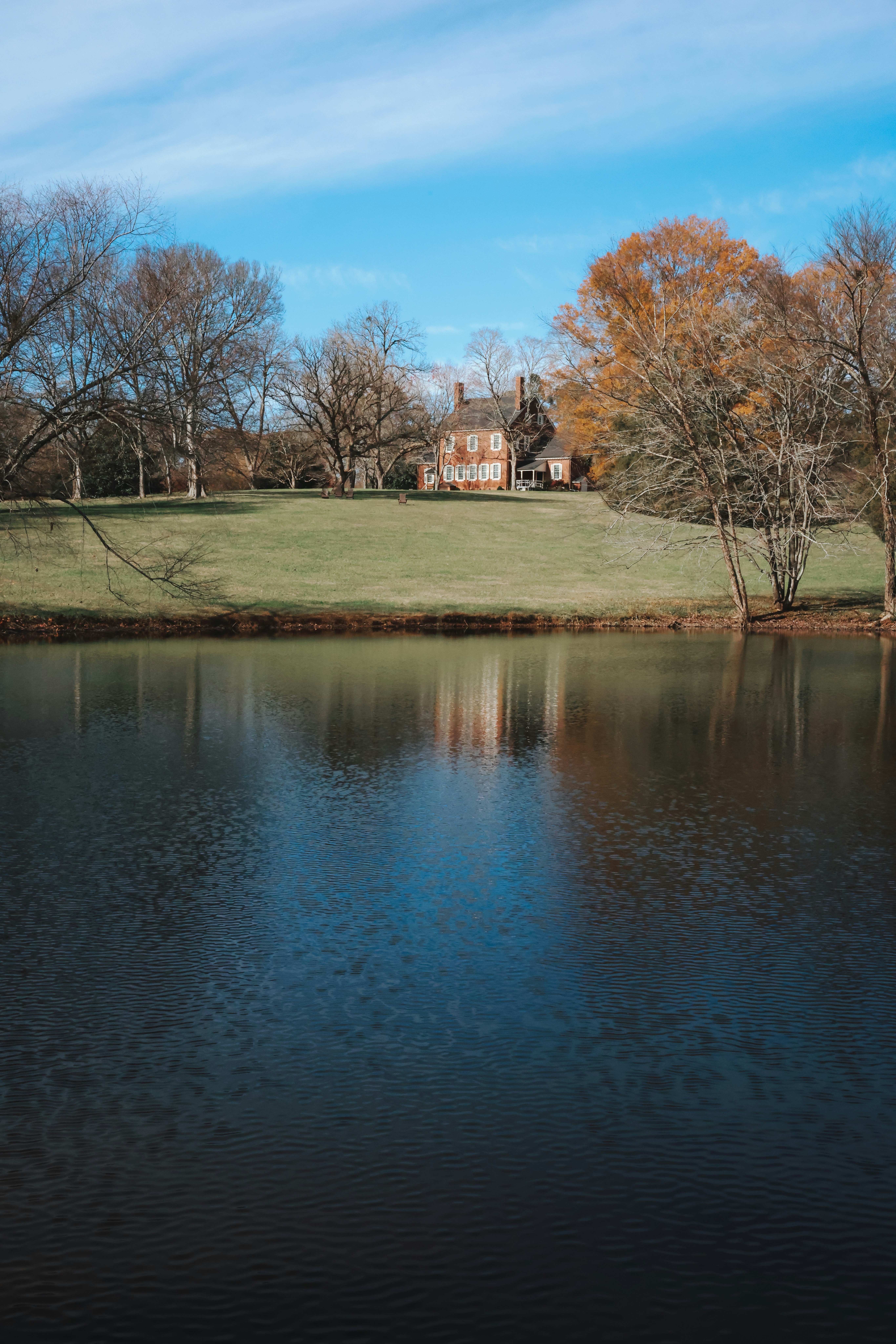 Ein großes Gewässer umgeben von Bäumen
