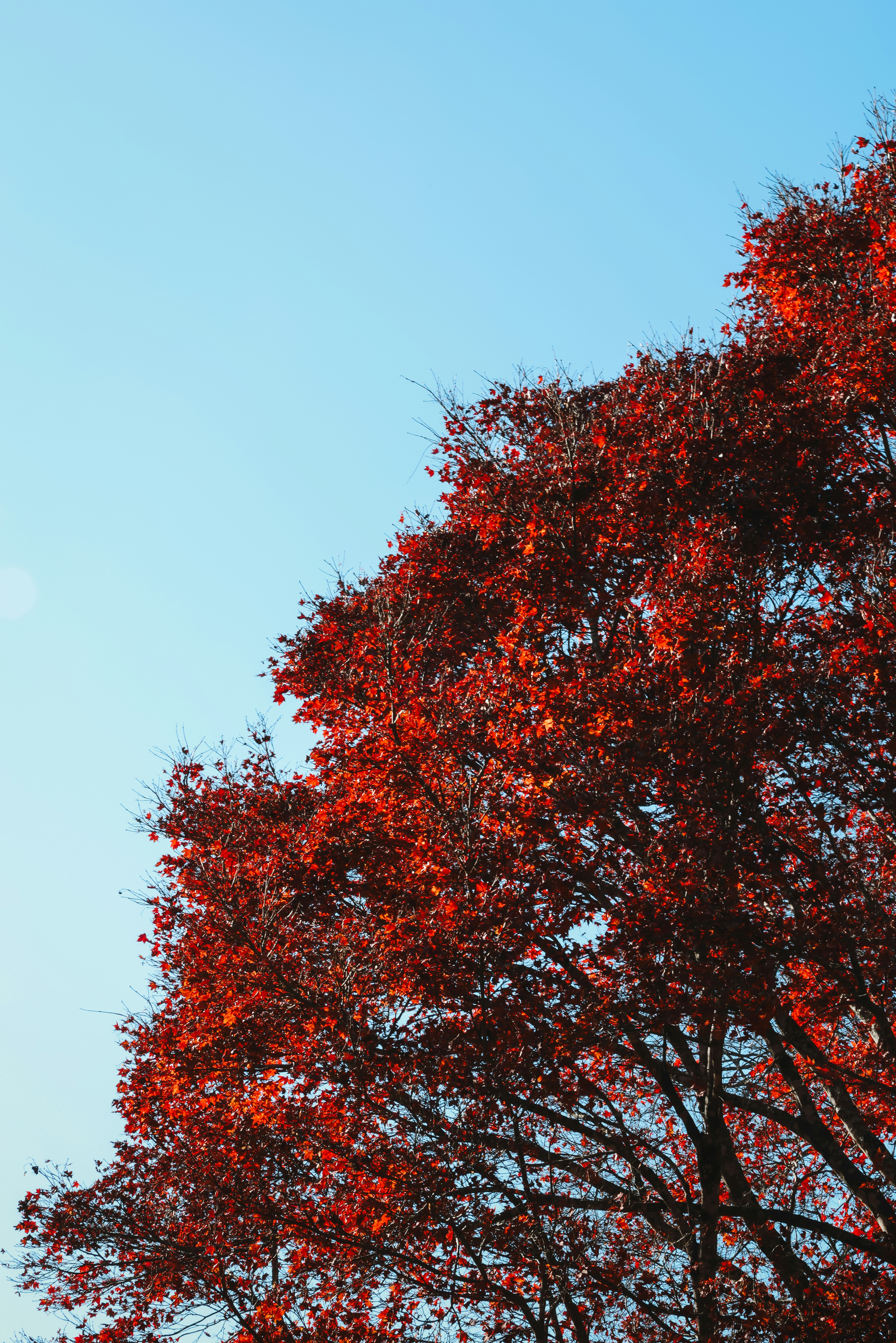 Ein hoher Uhrenturm, der über einer Stadt thront
