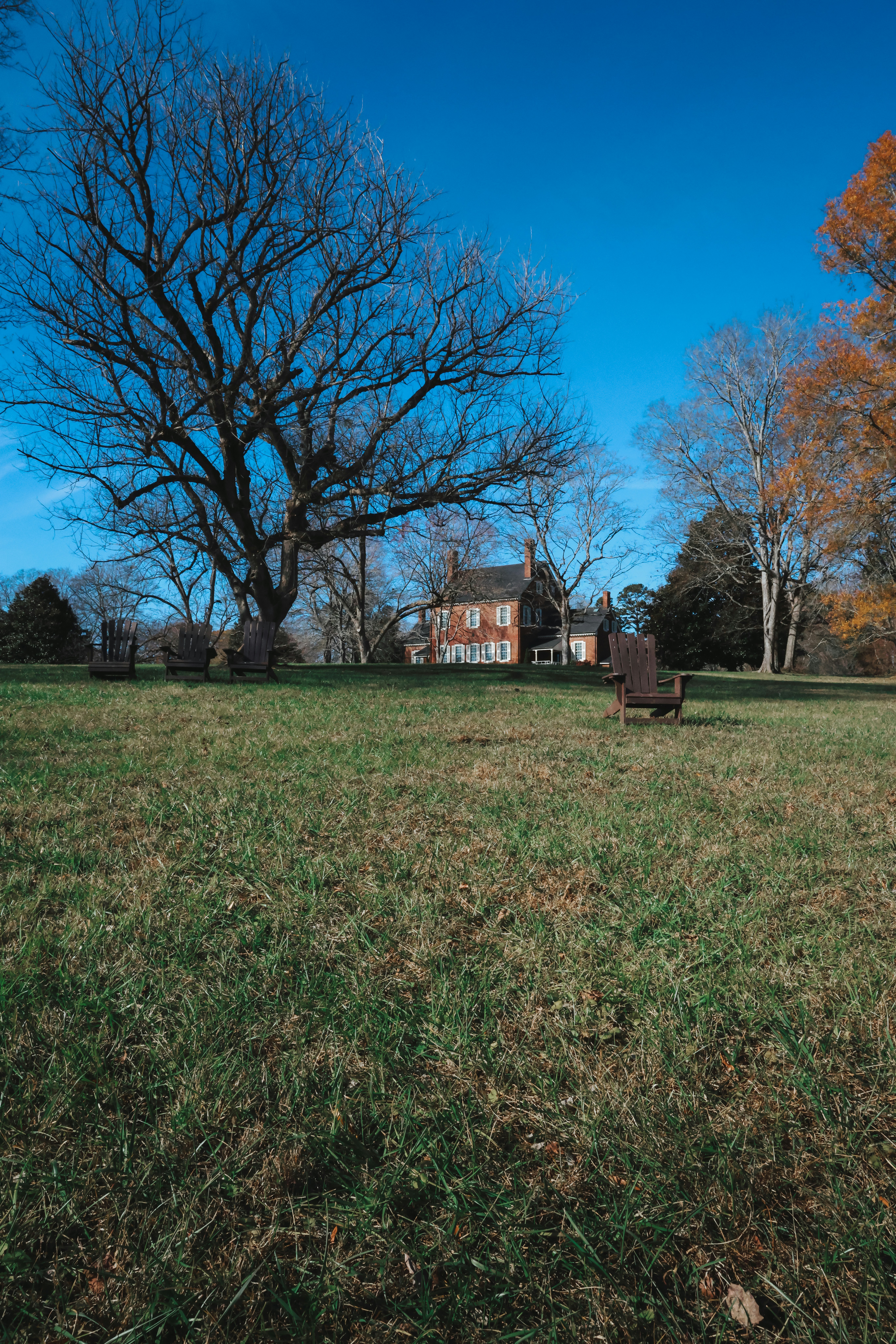 Un grand champ herbeux avec une maison en arrière-plan