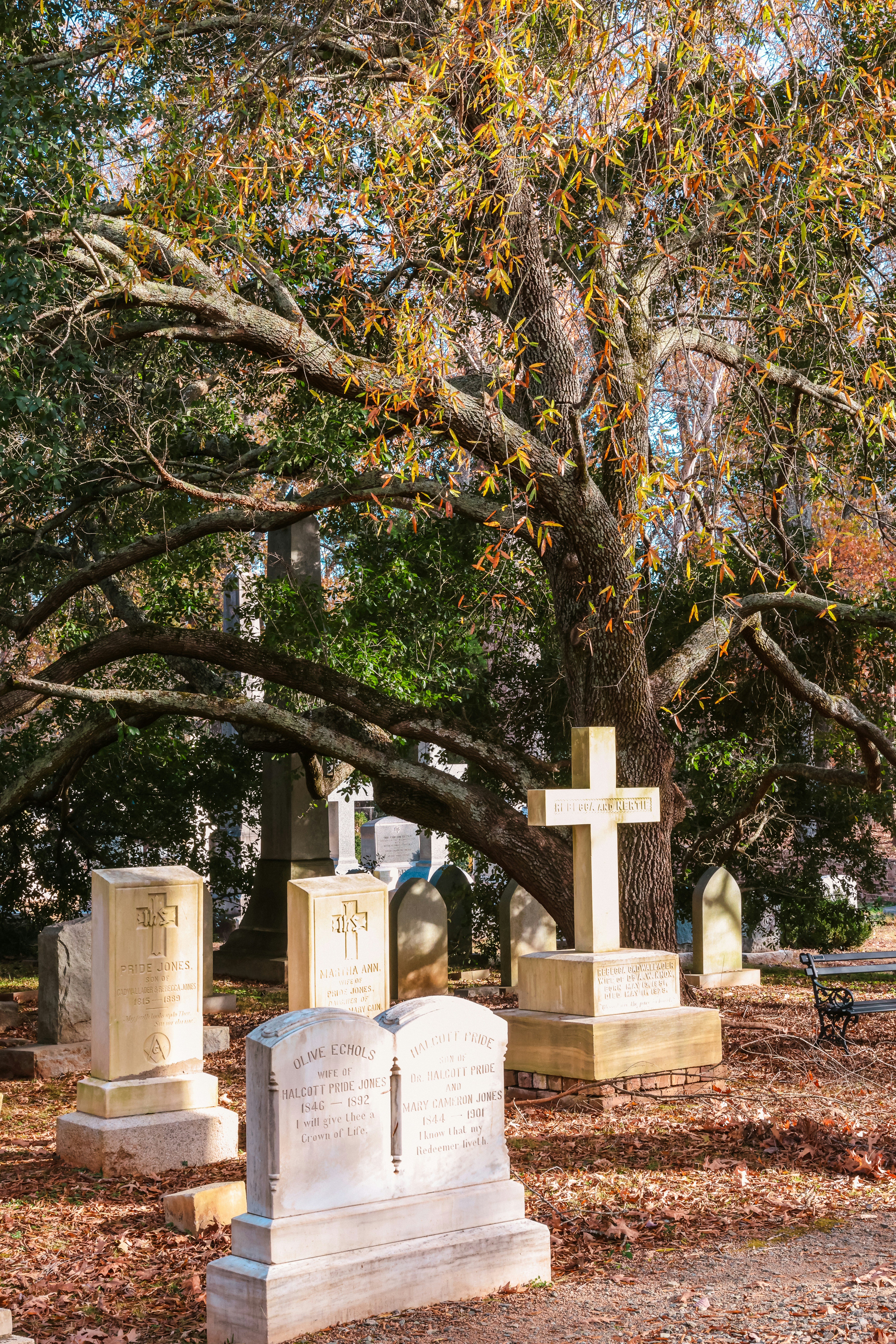 Un cimetière avec de nombreuses pierres tombales et des arbres en arrière-plan