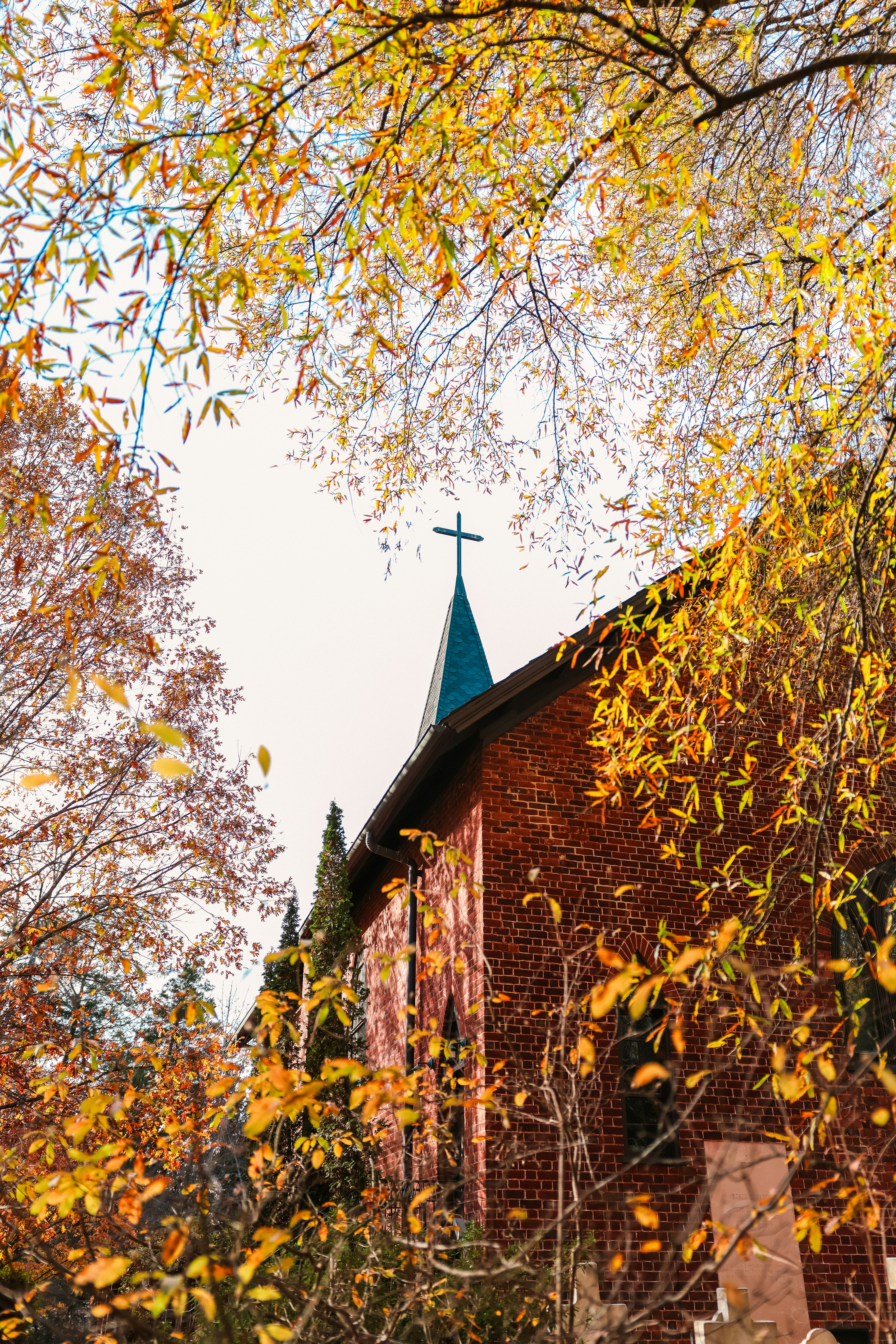 Eine Kirche mit einem Kirchturm, der von Bäumen umgeben ist