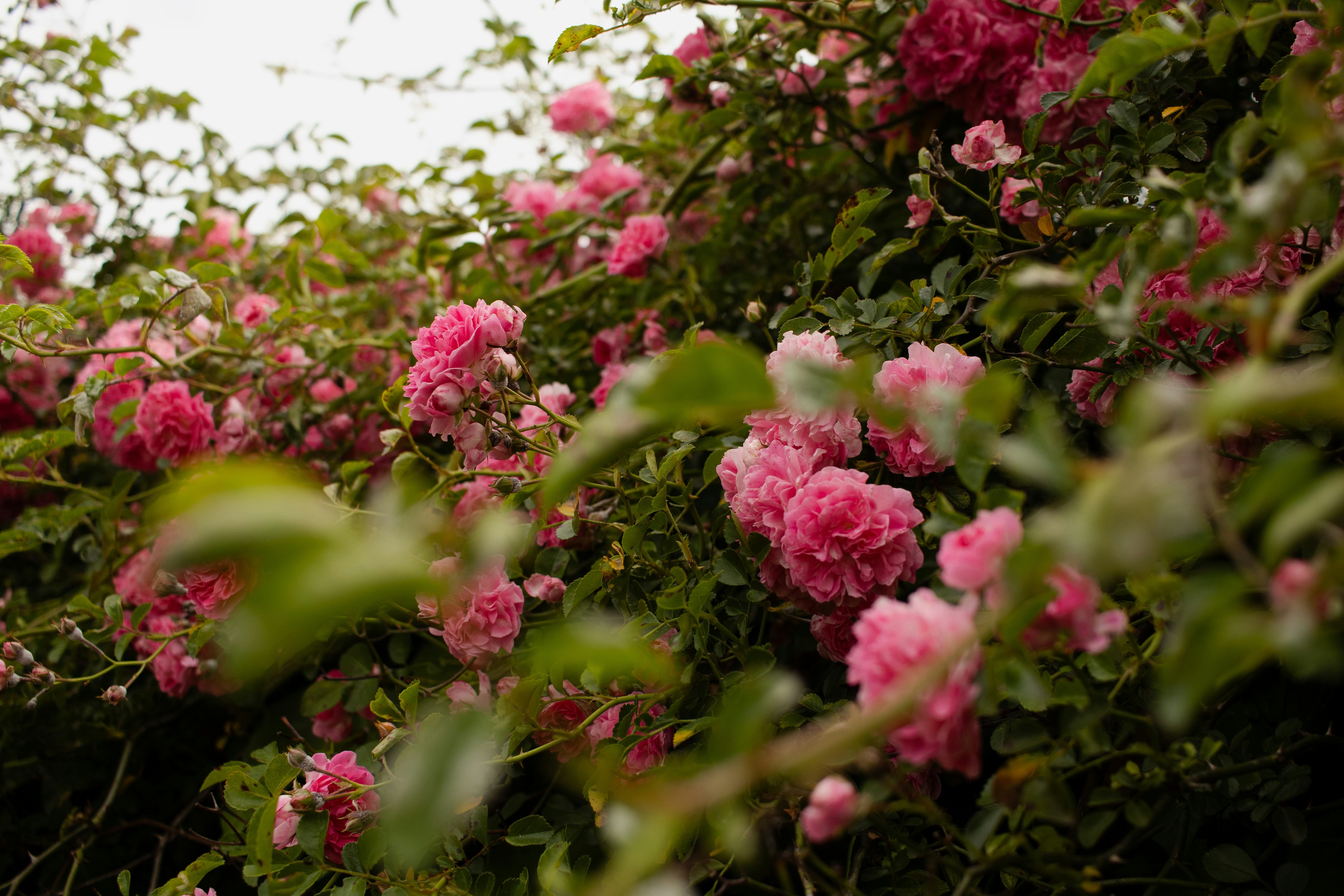 Photo by ashford_marx