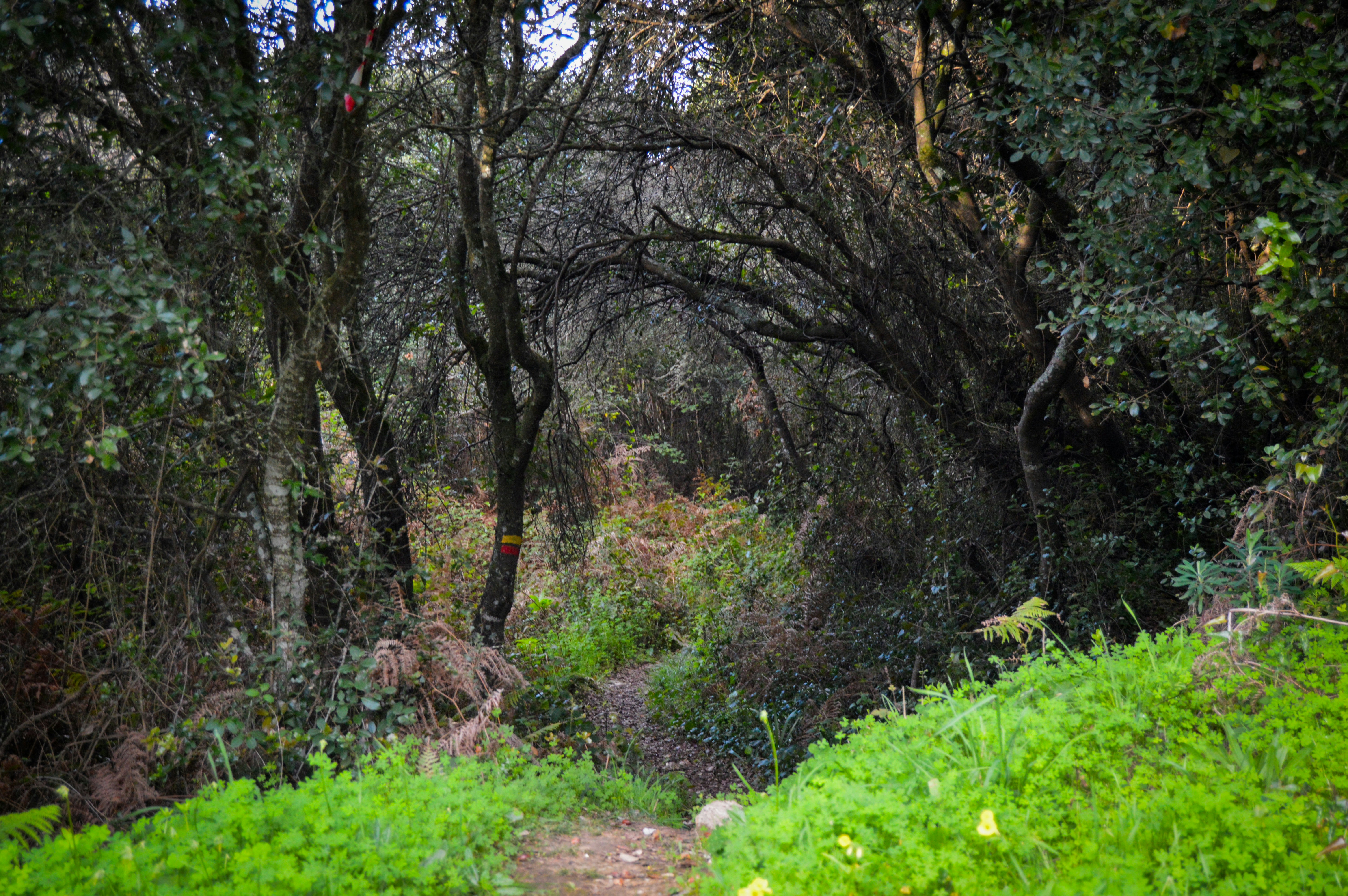 Photo by richardmultimedia