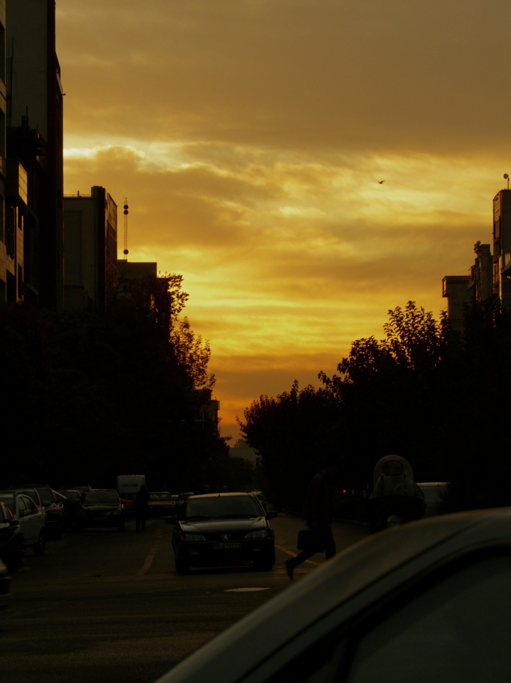 Photo by mhdrzaei