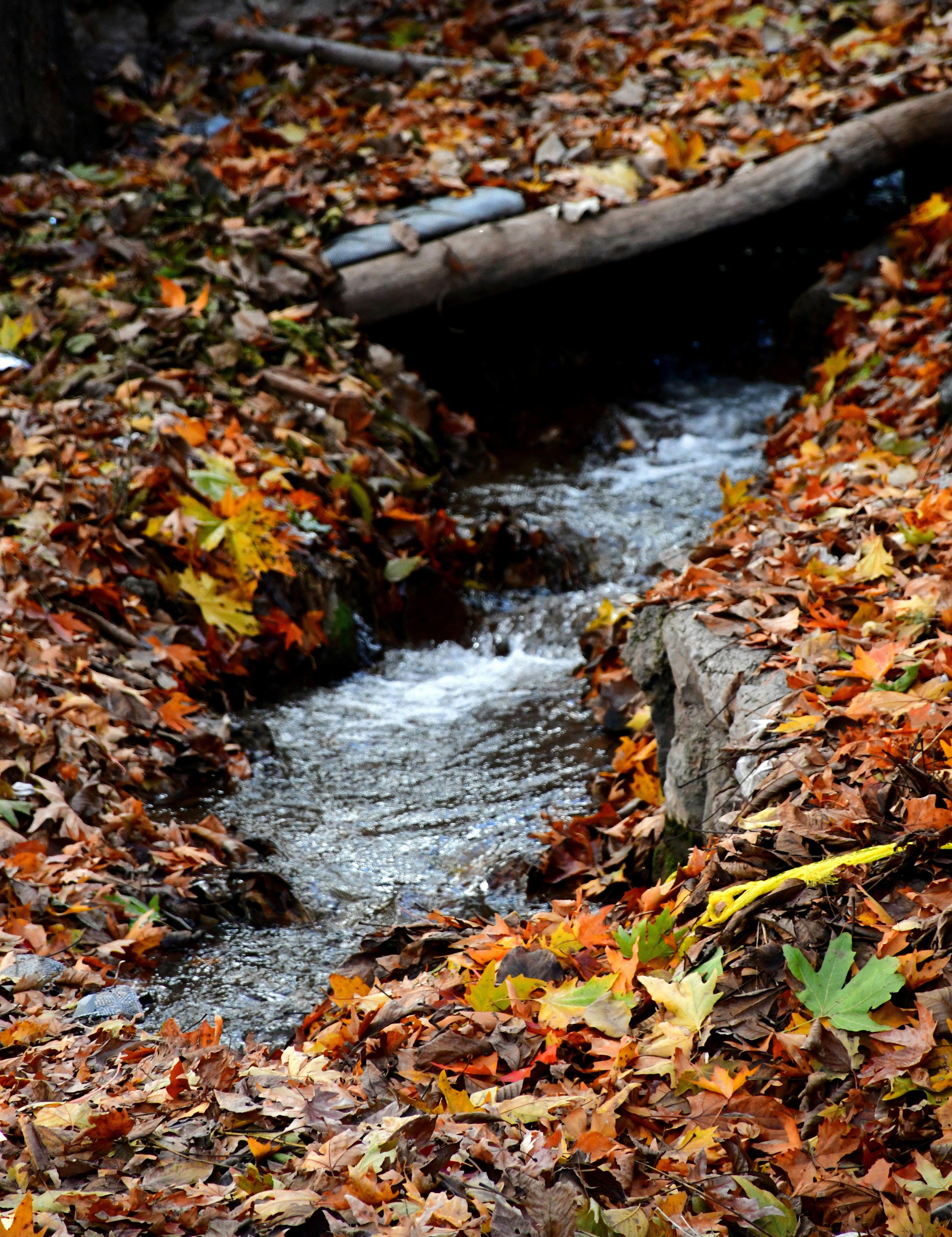 Photo by rashedpaykary