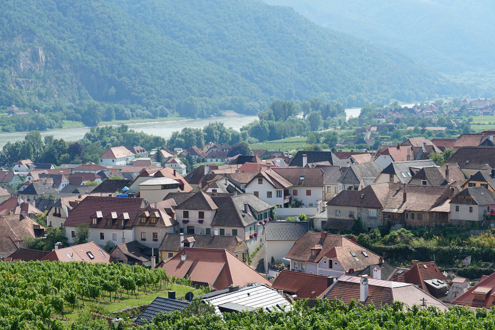 Travel photograph: A small Wachau village beside the broad Danube beneath terraced and wooded hills.