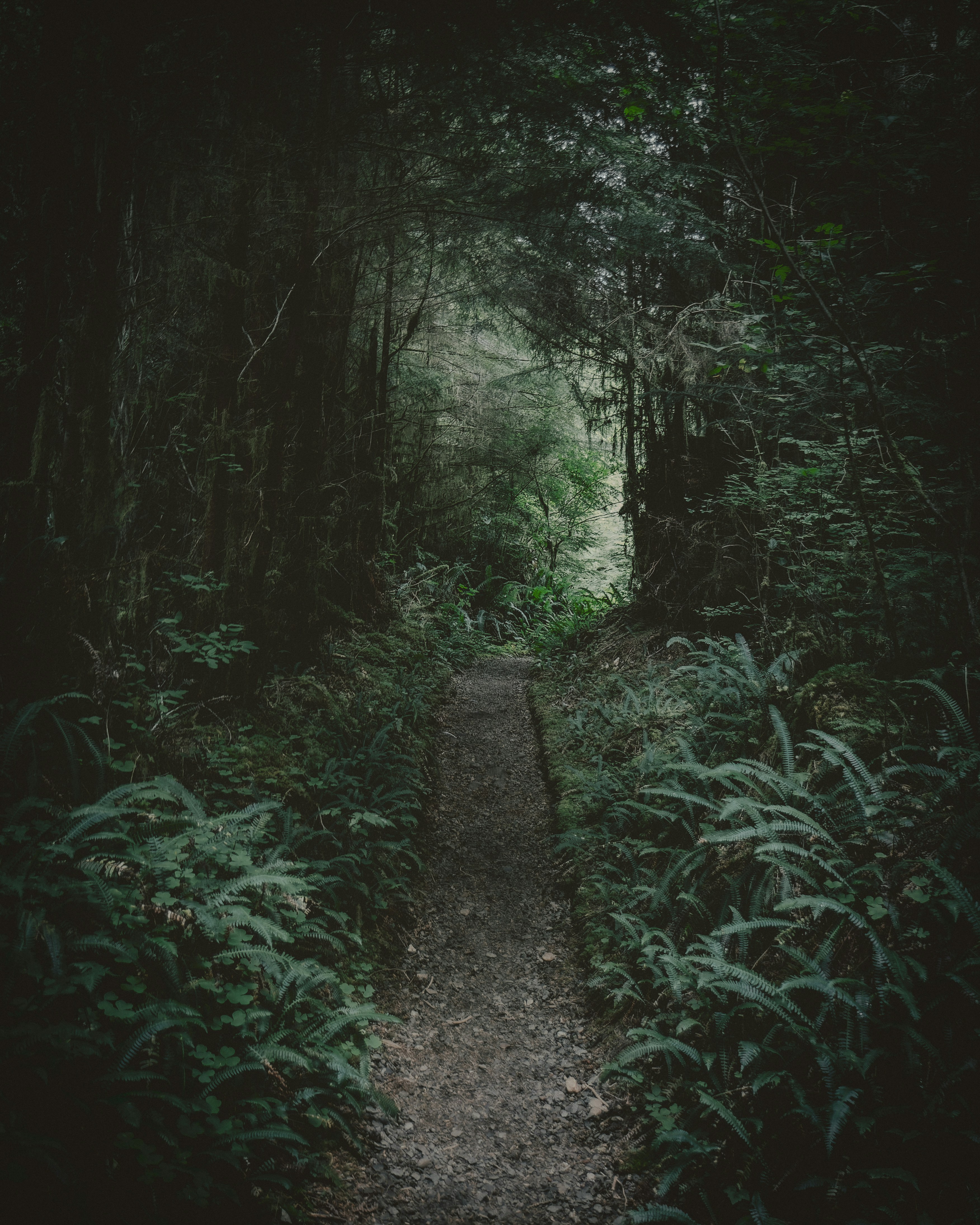 Photo by peterbbryan