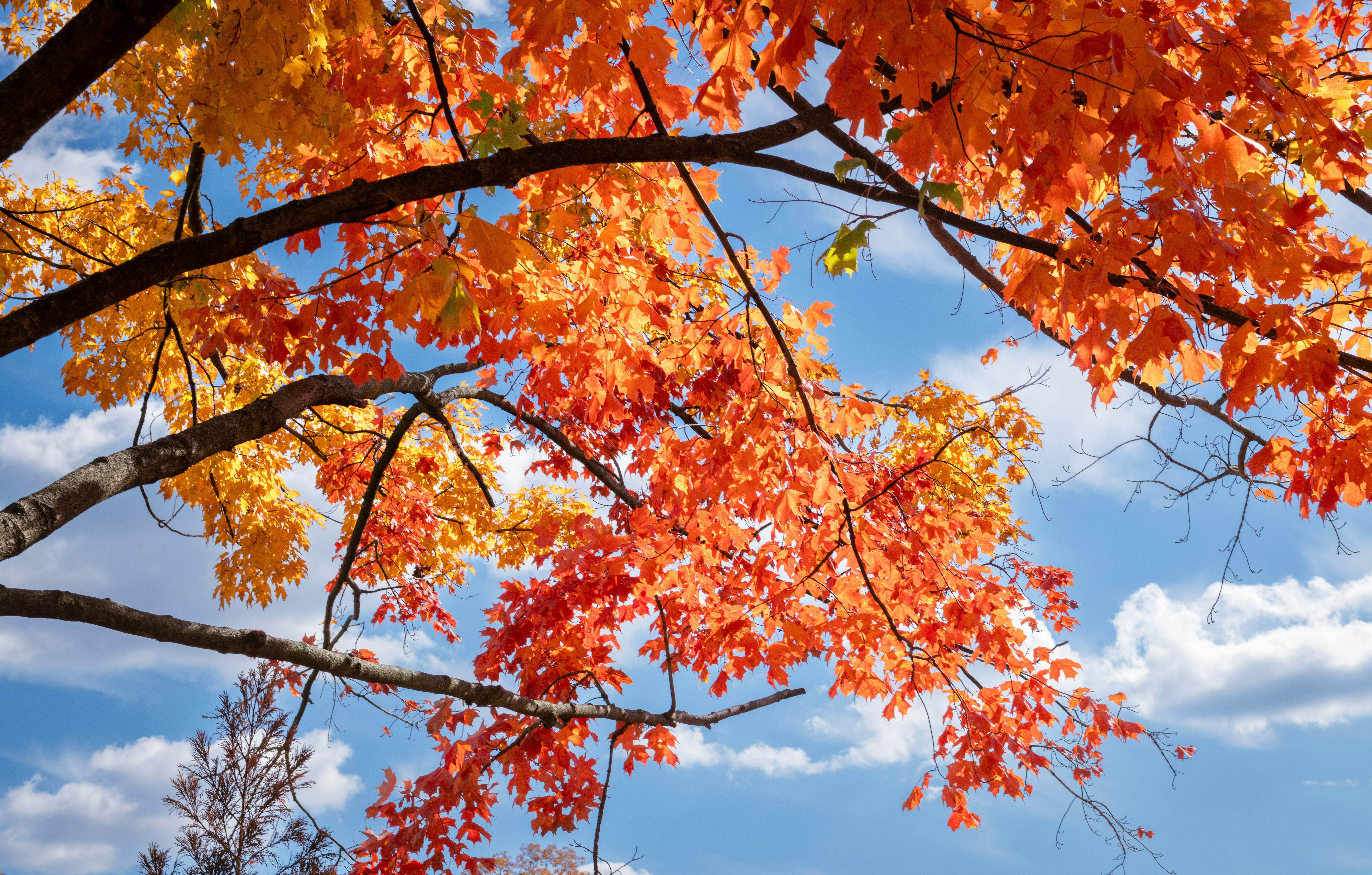 Photo by sriniunsplash