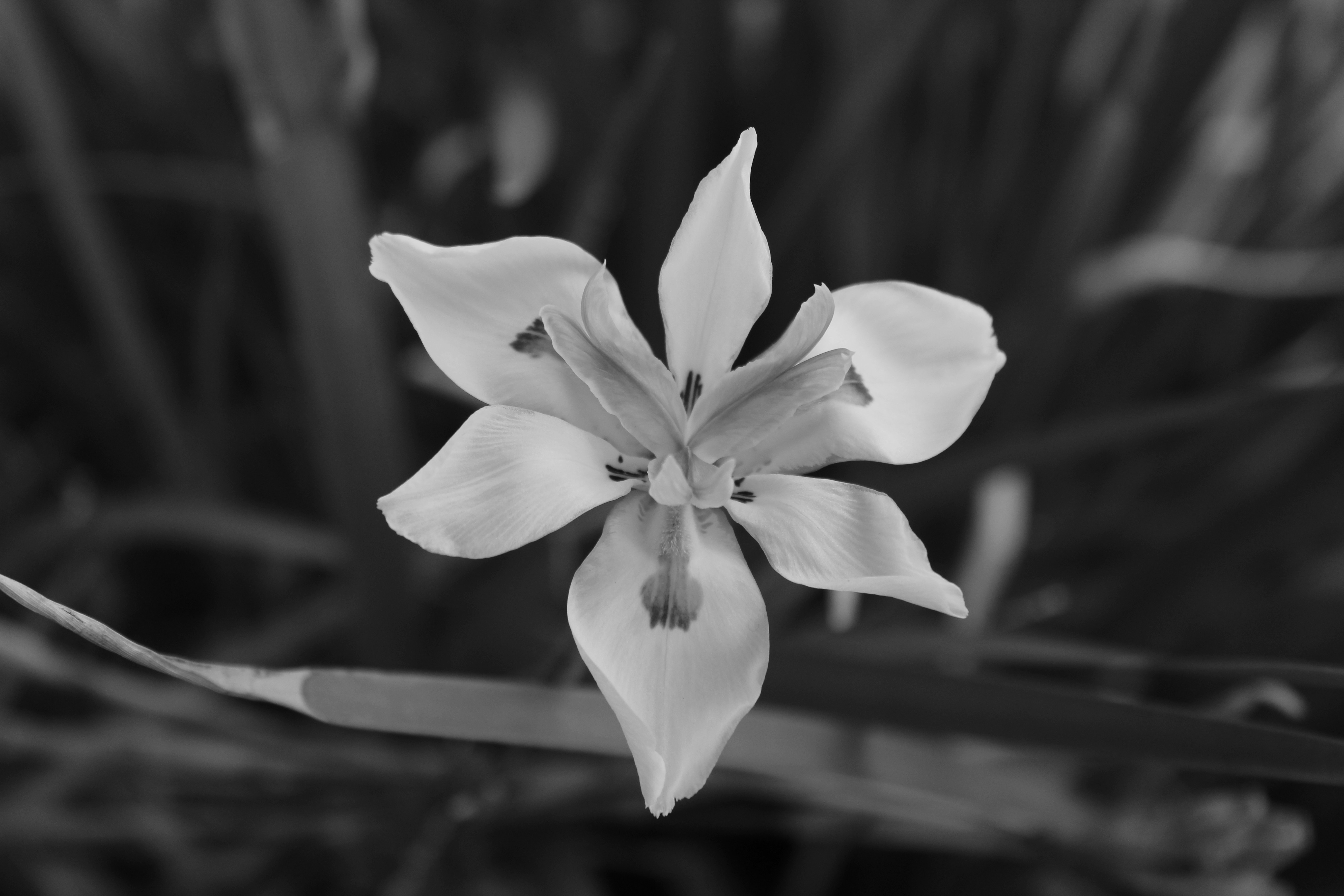 Photo by brendacastro24