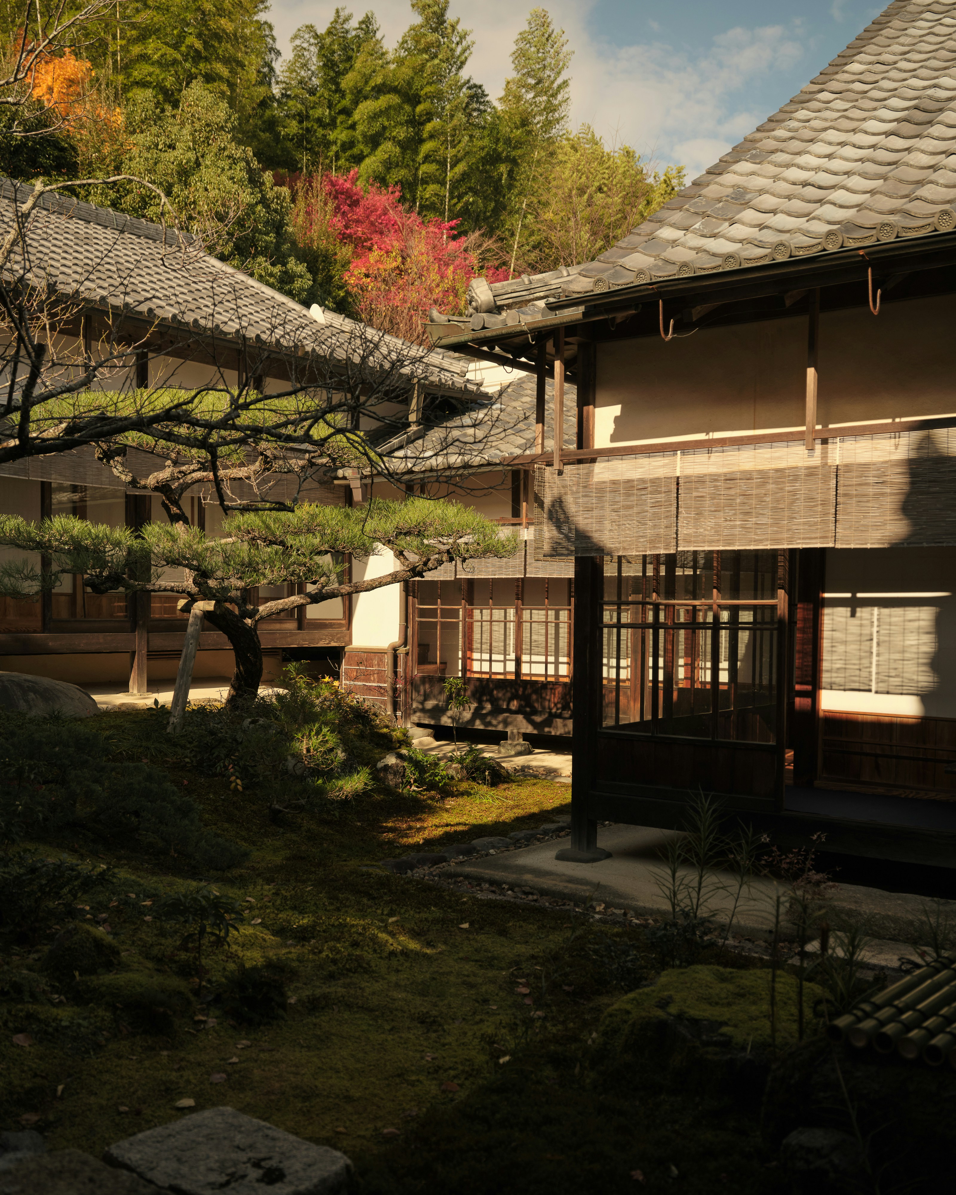 A building with a tree in front of it
