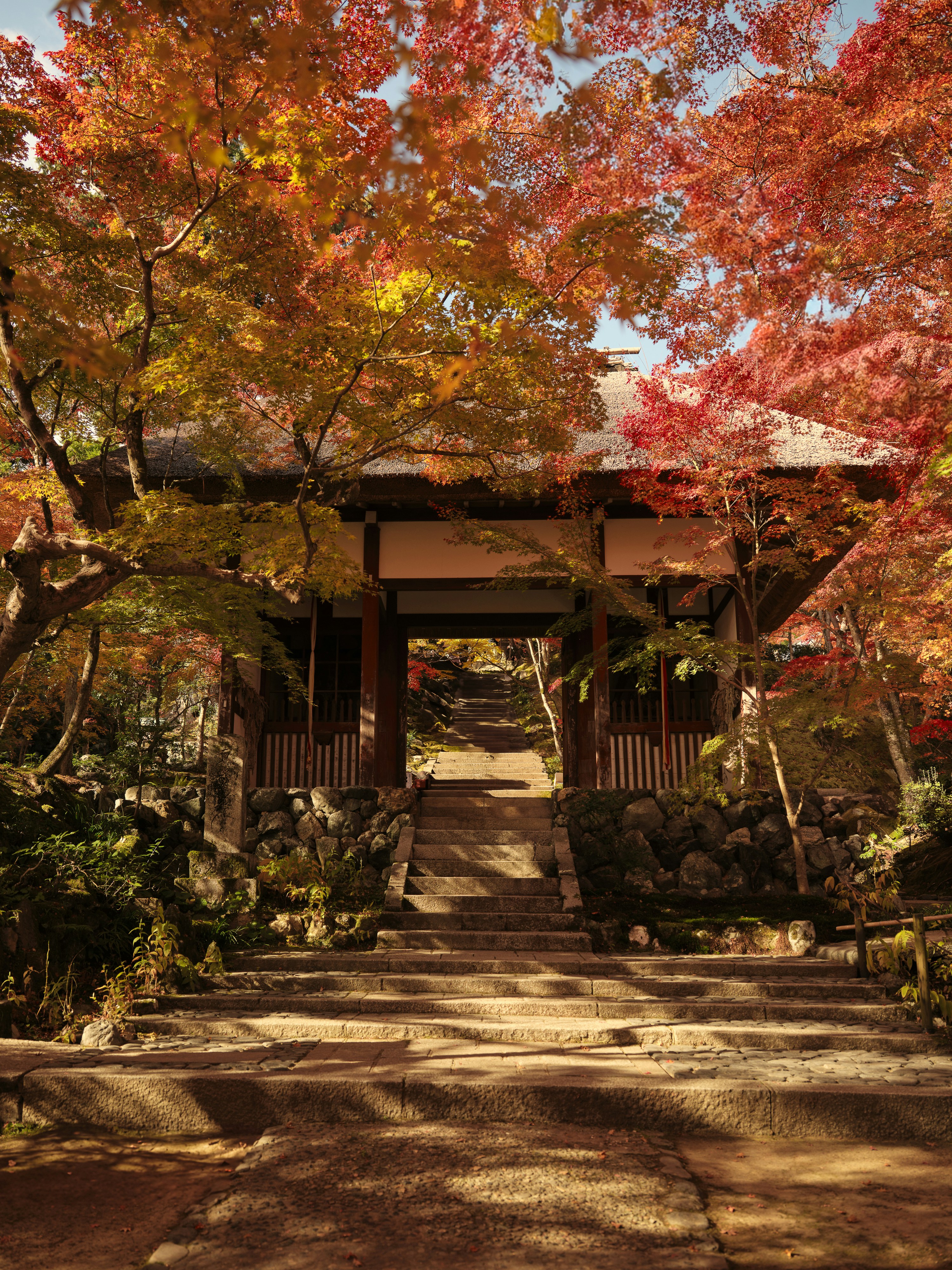 A path leading to a building with trees in the background