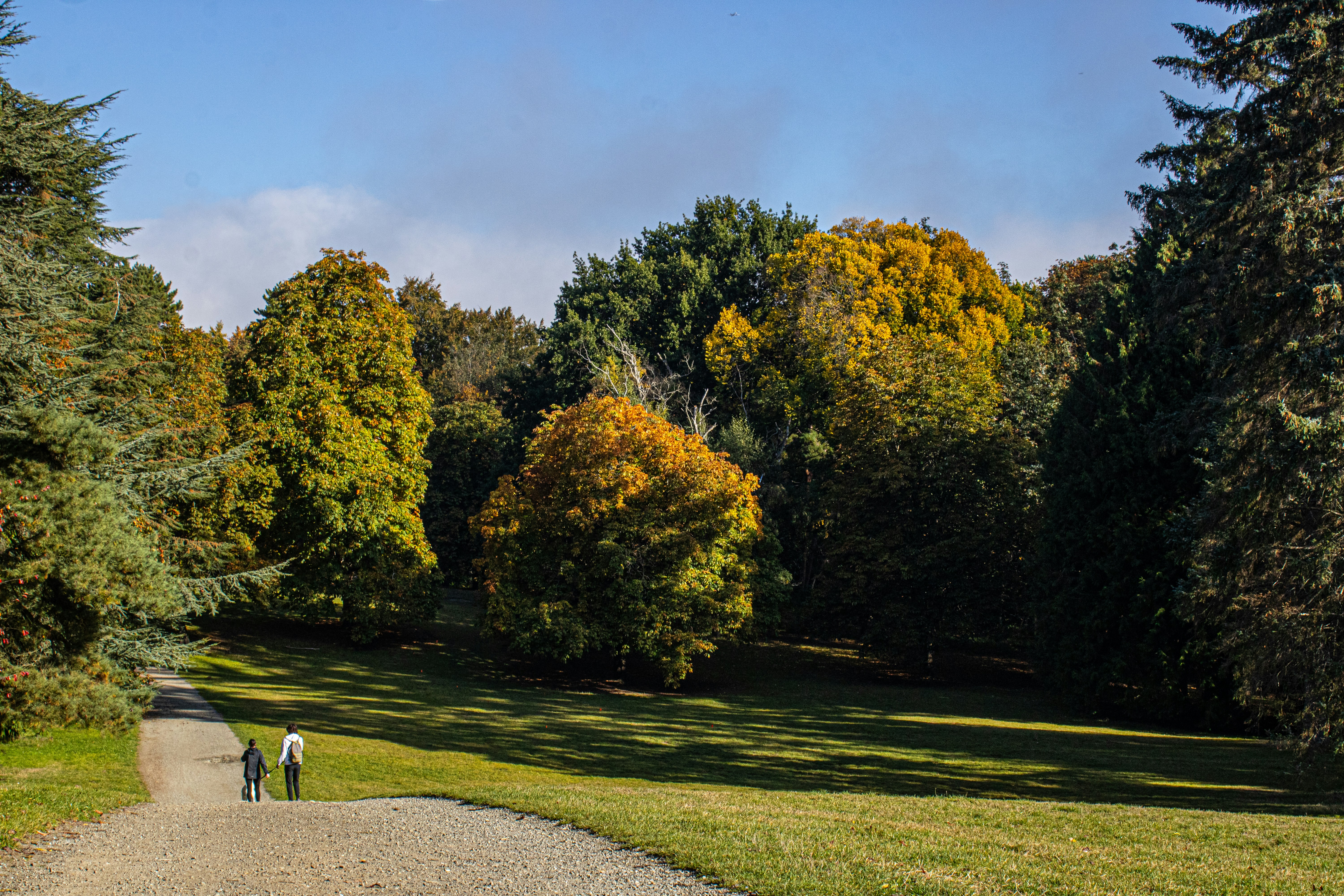 Photo by prphotography262